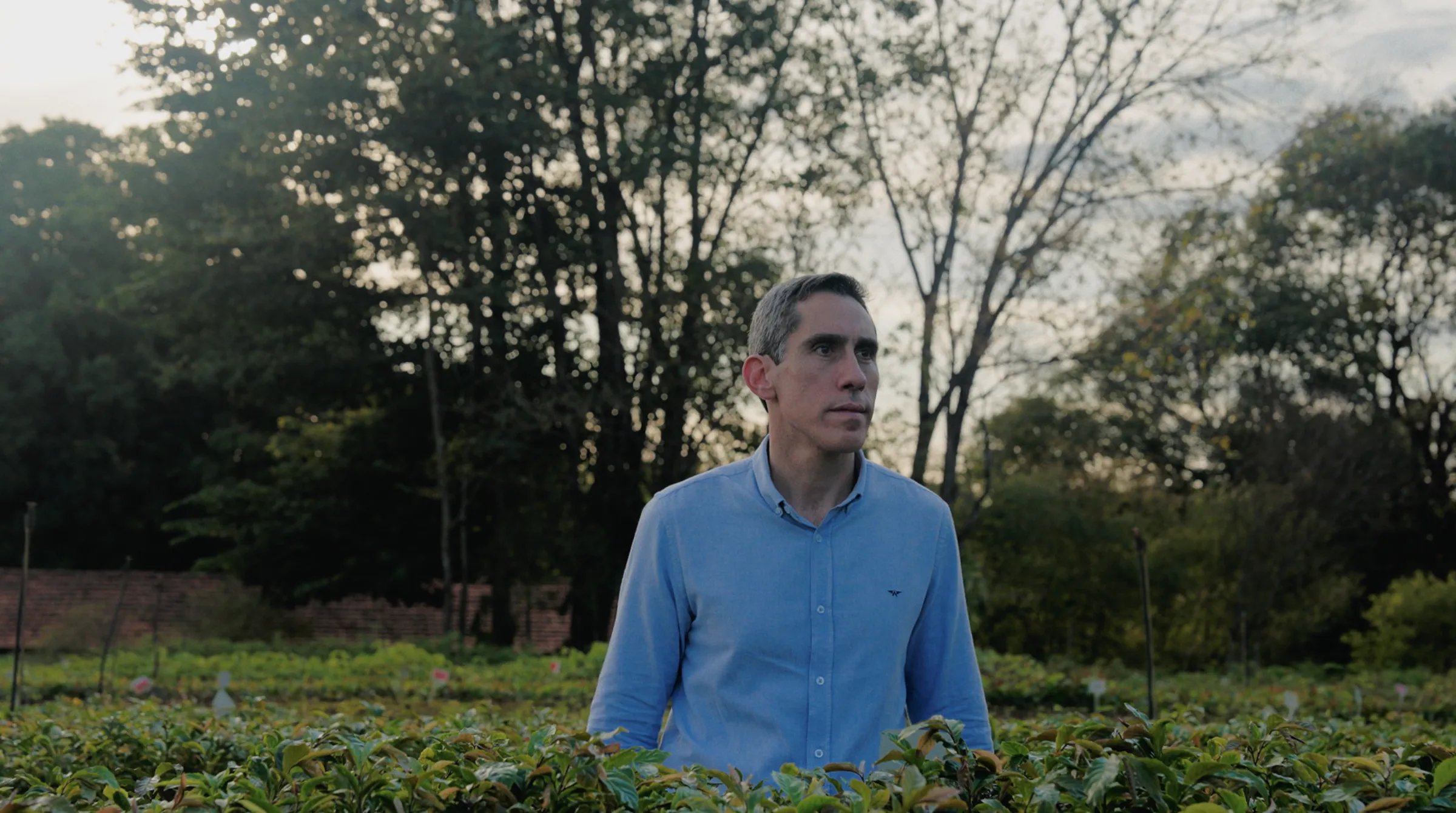 Thiago Picolo, CEO of re.green, stands in re.green’s tree nursery, called Bioflora, in Piracicaba in Brazil. The Earthshot Prize/Handout via Thomson Reuters Foundation.