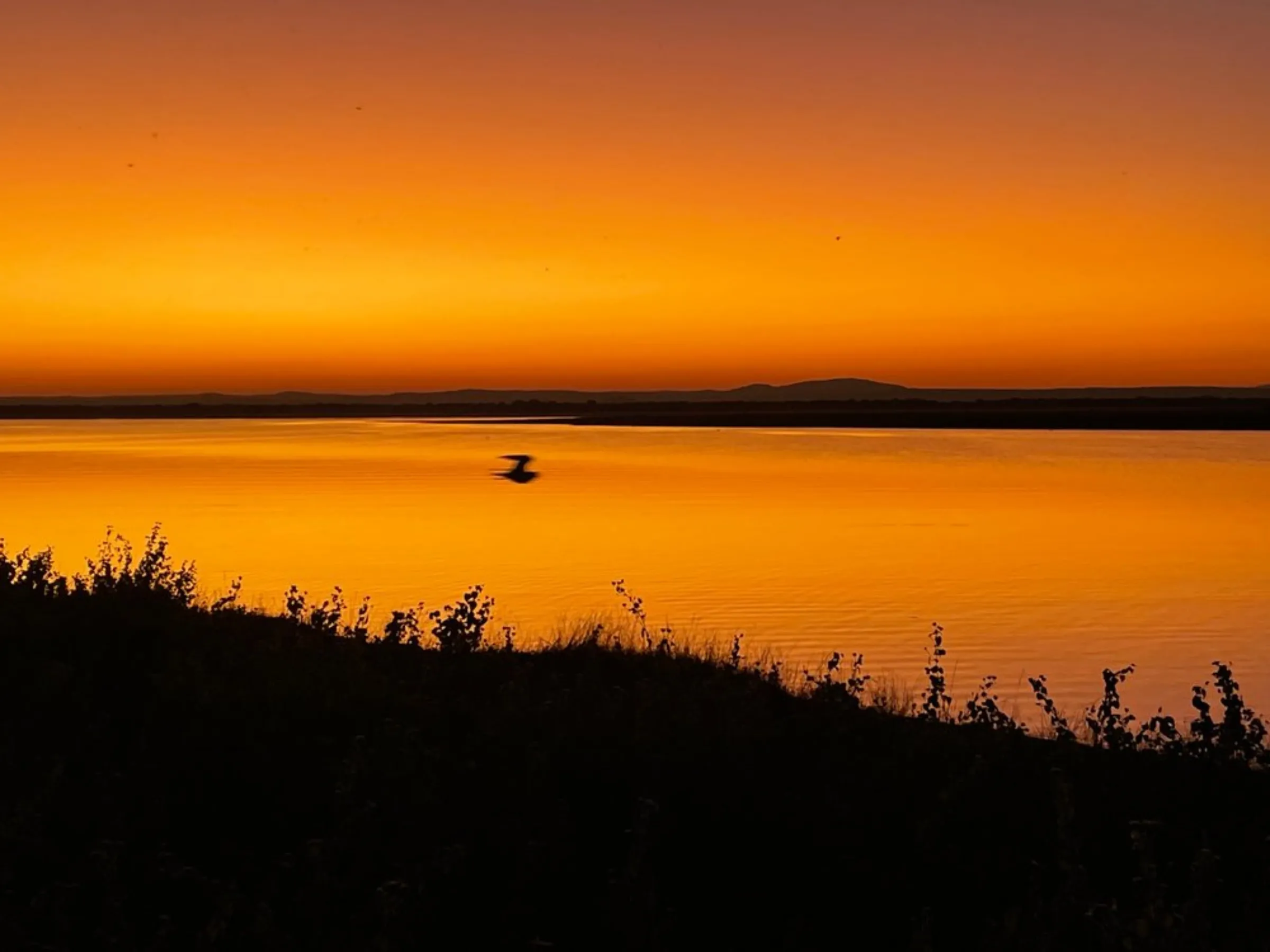 A bird flies over a lake as the sun sets and turns the water and sky orange in Gorongosa National Park in Mozambique, May 30, 2022