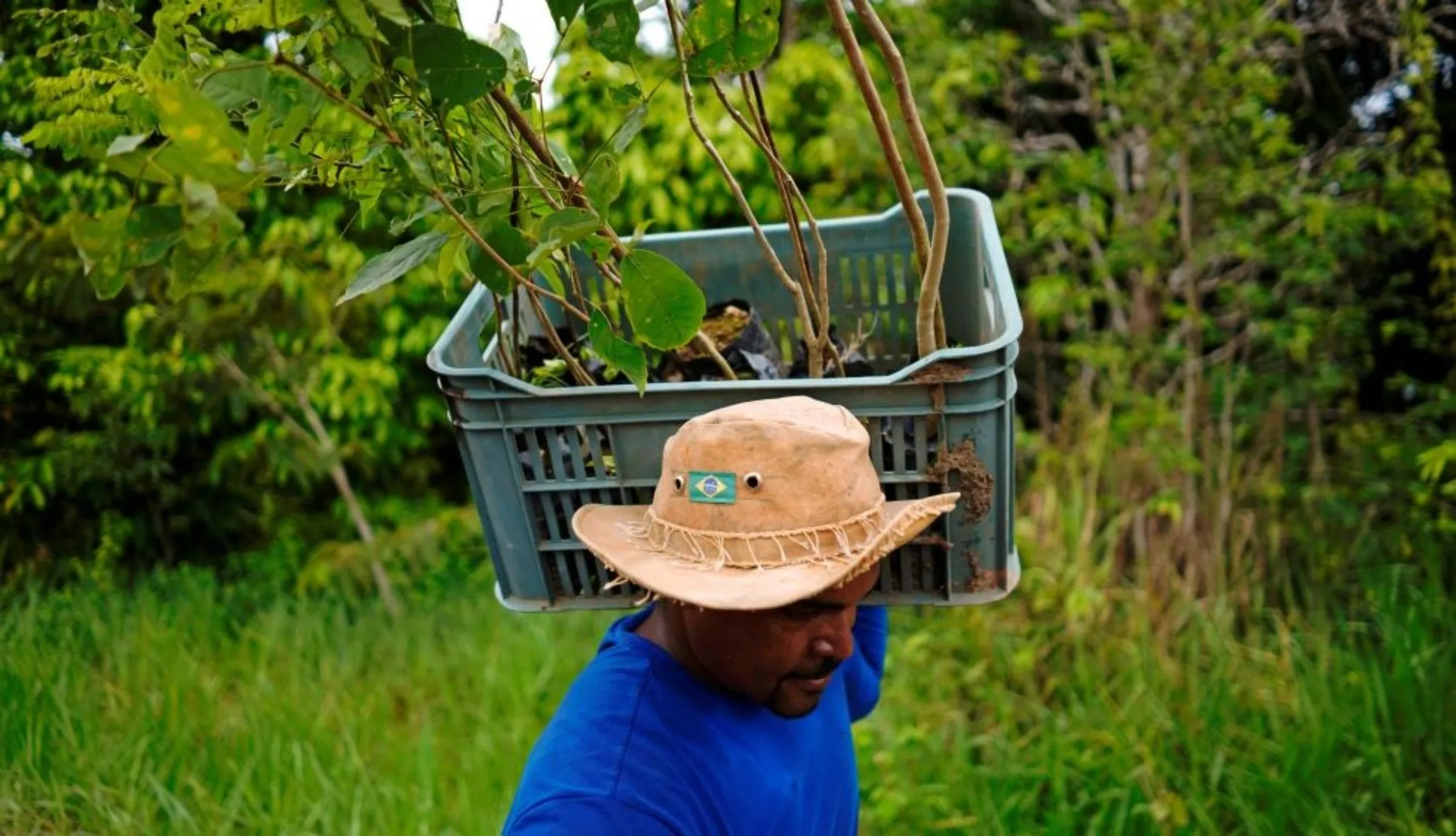 Josafa Santos carries trees to be planted during a reforestation project in Nova Mutum, Brazil, February 19, 2020. REUTERS/Alexandre Meneghini