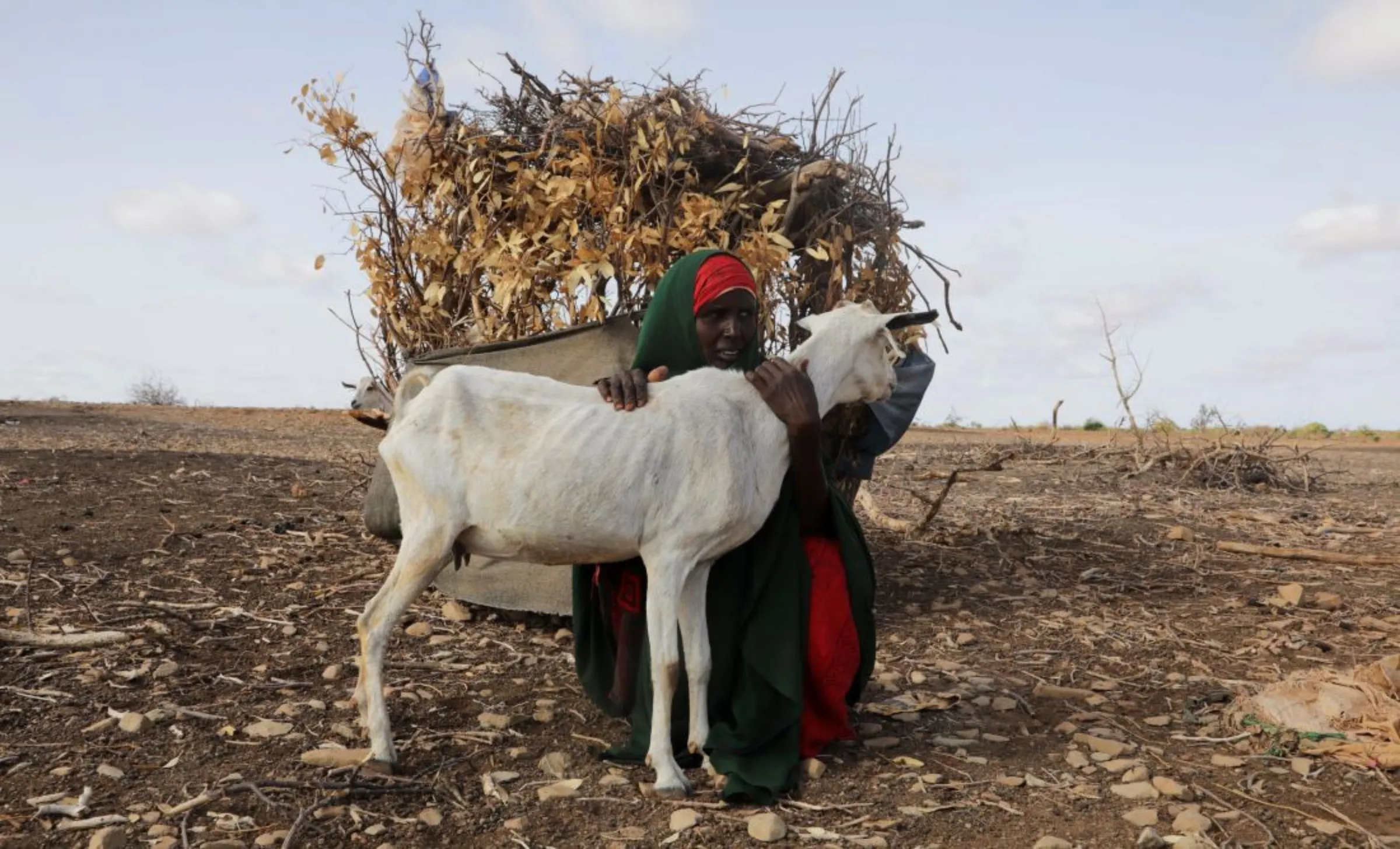 Internally displaced Somali woman Habiba Bile holds her surviving goat following severe droughts near Dollow, Gedo Region, Somalia May 26, 2022