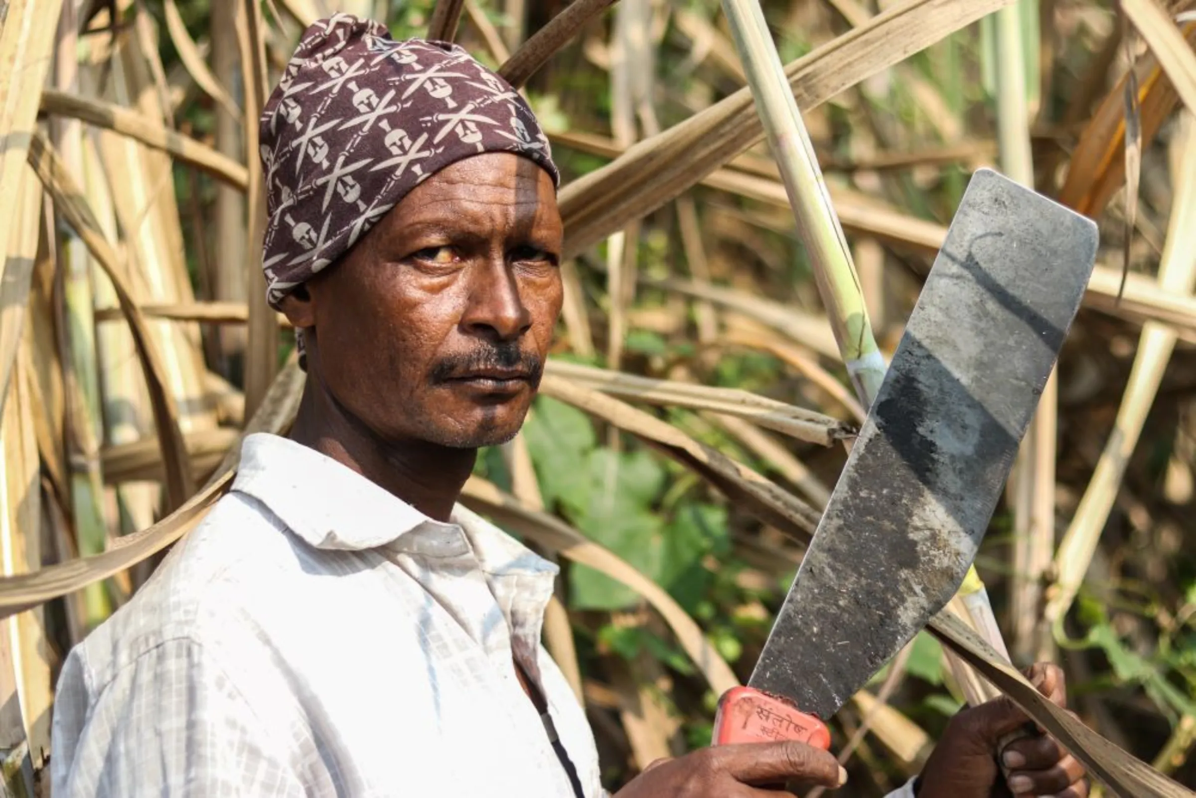 Dharma Bhil holds a sickle in a sugarcane field in Maharashtra’s Khochi village, India. December 17, 2022
