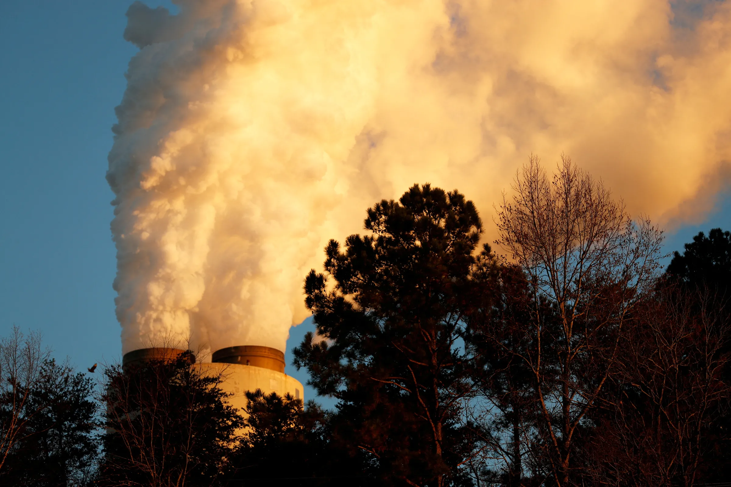Steam rises from Duke Energy's Marshall Power Plant in Sherrills Ford, North Carolina, U.S. November 29, 2018. REUTERS/Chris Keane