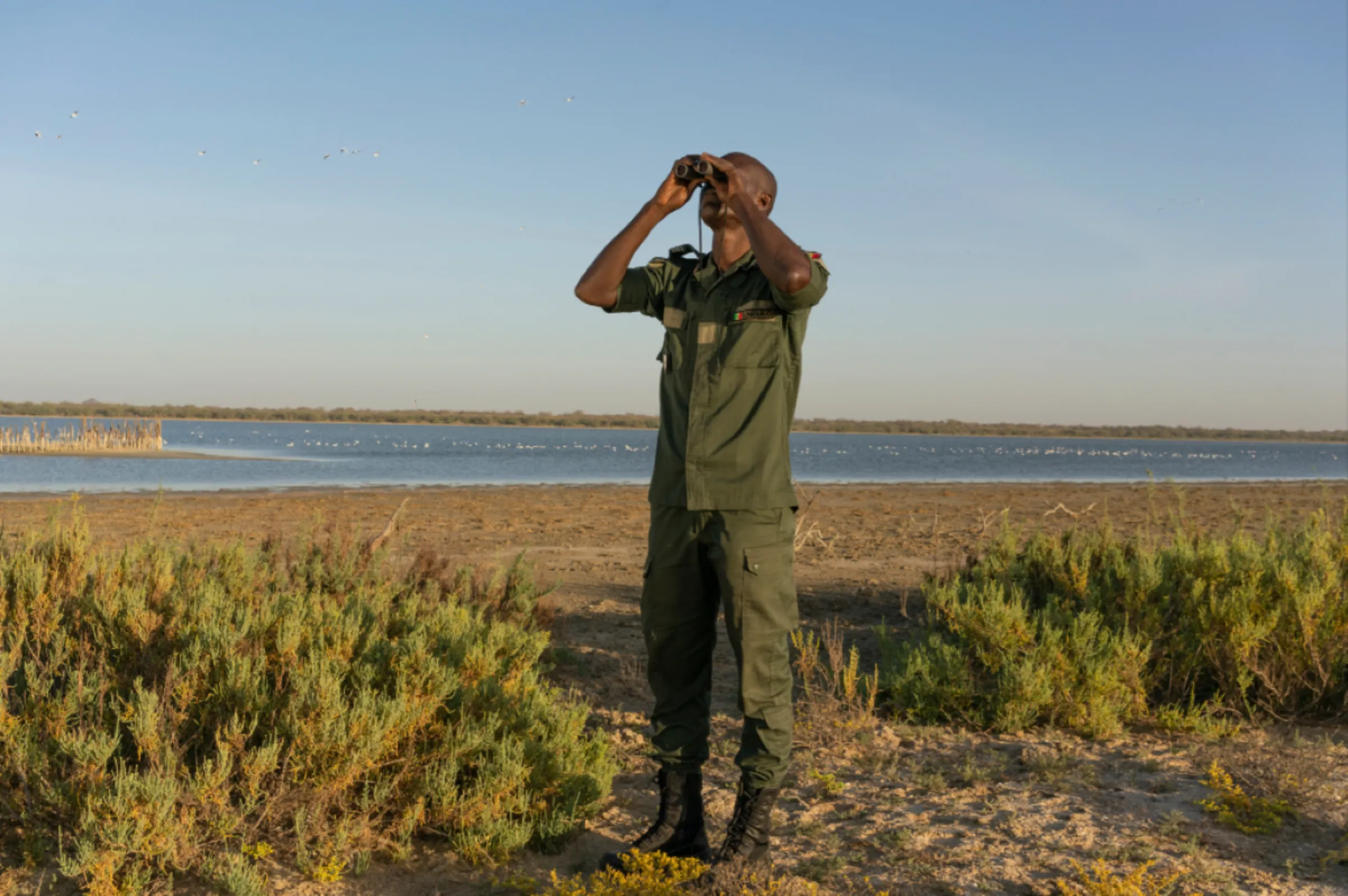 Commandant and Veterinary Doctor Ndao in Guembeul Natural Reserve. In the backdrop and artificial birdhouse inhabited by Sterne Hensel birds. St Louis, Senegal, January 2023