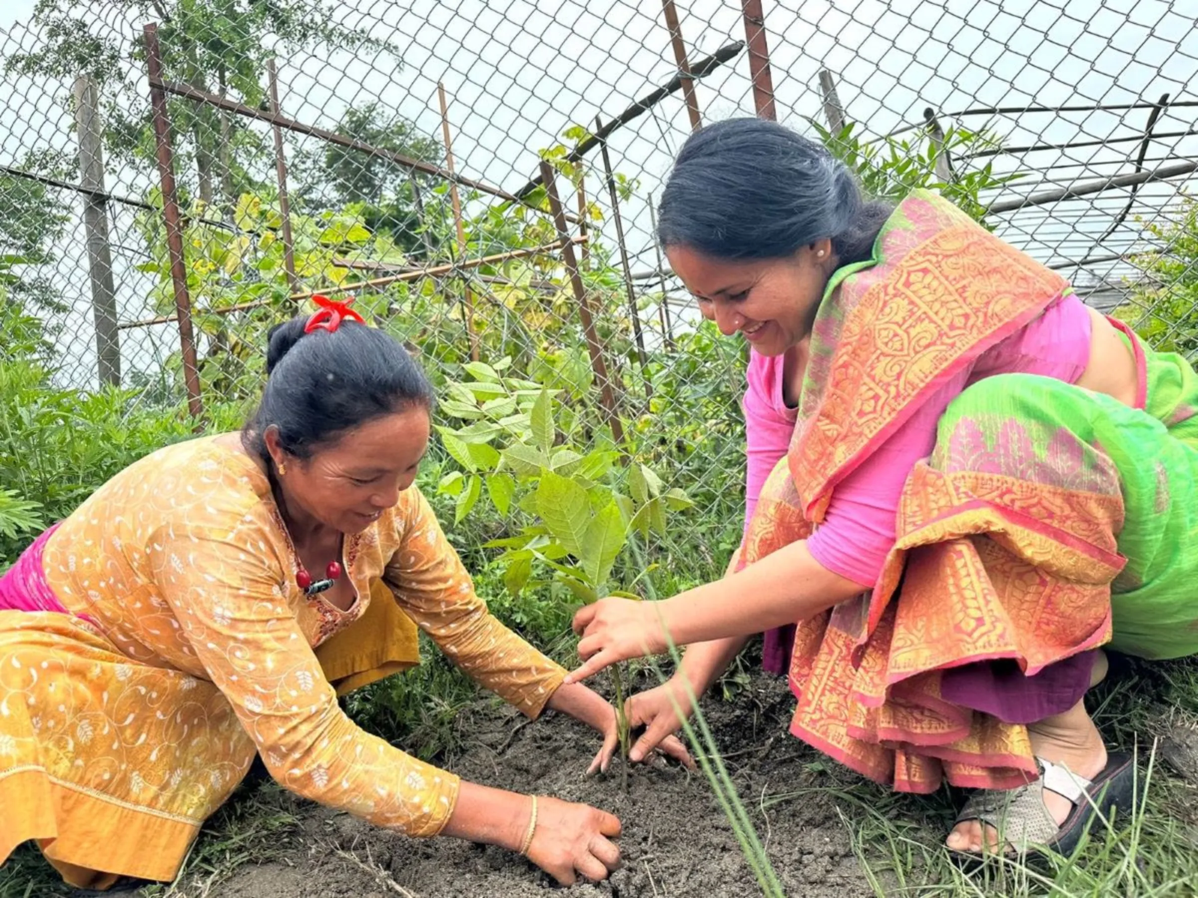 Women are planting trees at Mulpani Kathmandu, Nepal. July 2, 2023