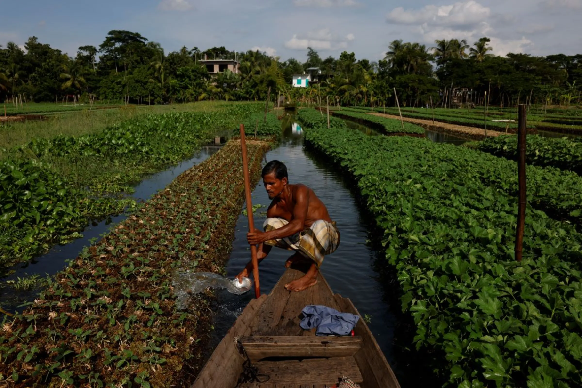 A man irrigates his floating bed, at his farm as rising seas and storm flooding threaten more and more farmland in Pirojpur district, Bangladesh, August 16, 2022. Bangladesh could lose more than a tenth of its land to sea level rise in two decades, with climate change bringing more extreme heat and rainfall, flooding, erosion and saltwater surges in low-lying southern and southwestern delta, criss-crossed by hundreds of rivers. REUTERS/Mohammad Ponir Hossain