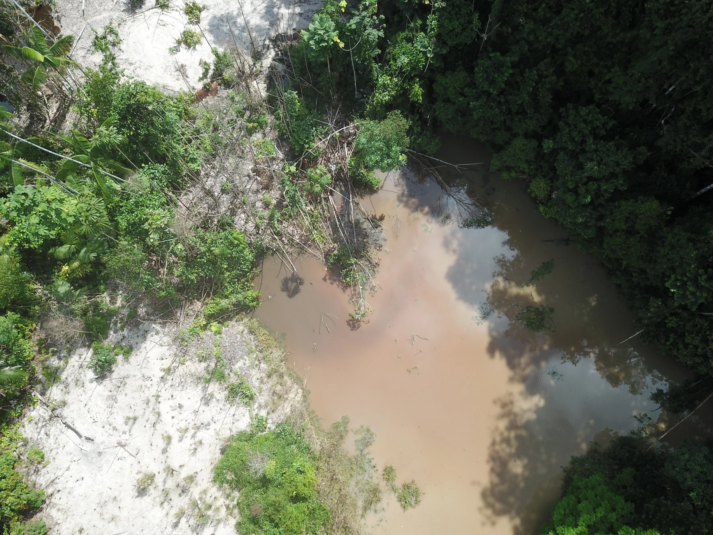 Evidence of illegal mining inside the Munduruku Indigenous Reserve, Brazil, Jan 7, 2025. Thomson Reuters Foundation/Dan Collyns