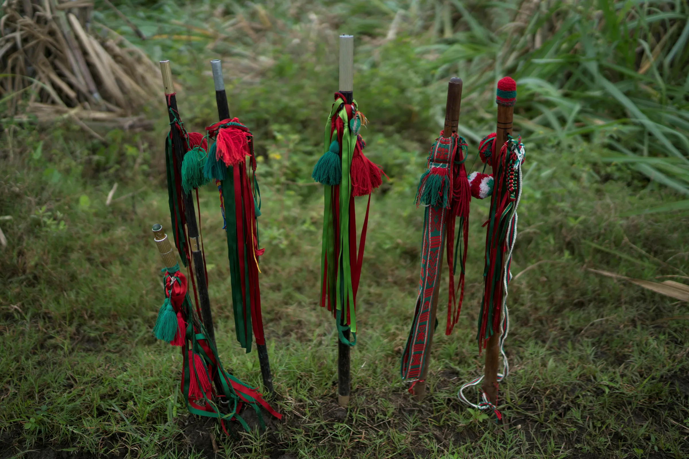 Ceremonial staffs of leaders of the Nasa indigenous tribe are seen at a sugar cane field they claim as their ancestral lands in Corinto, Colombia, May 11, 2017