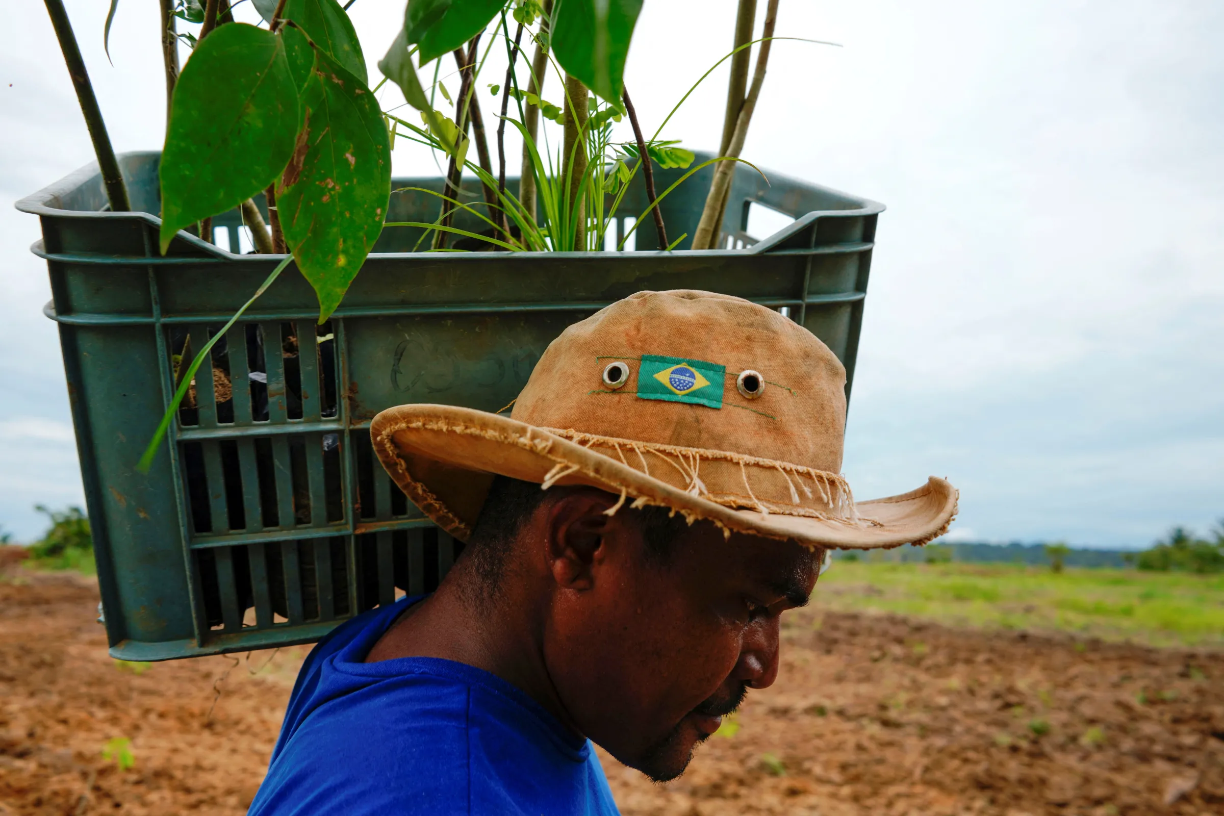 A staffer of the non-profit group Rioterra plants on a piece of deforested land, in Porto Velho, Rondonia state, Brazil February 19, 2020. REUTERS/Alexandre Meneghini