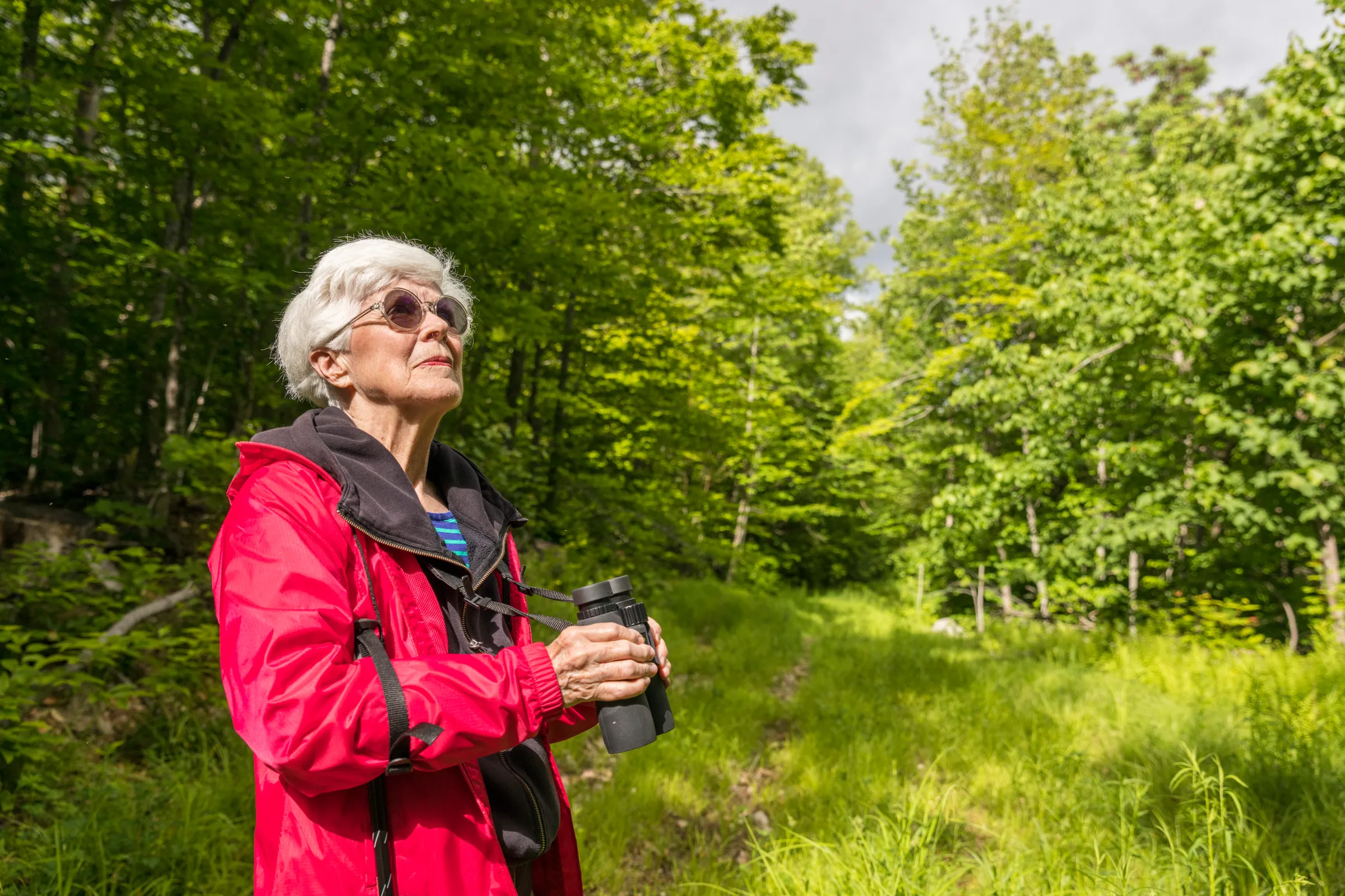 A birdwatcher stands in the Bethel Community Forest in Bethel, Maine