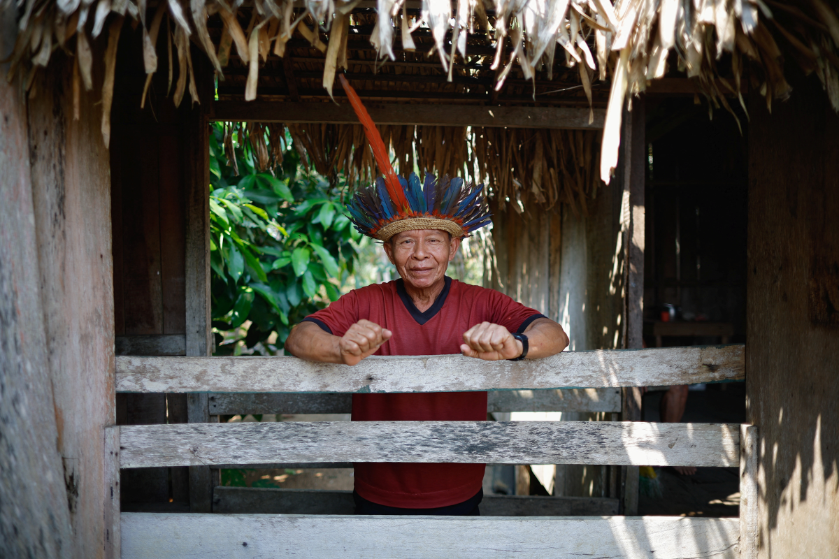 Why are uncontacted Indigenous people at increasing risk?