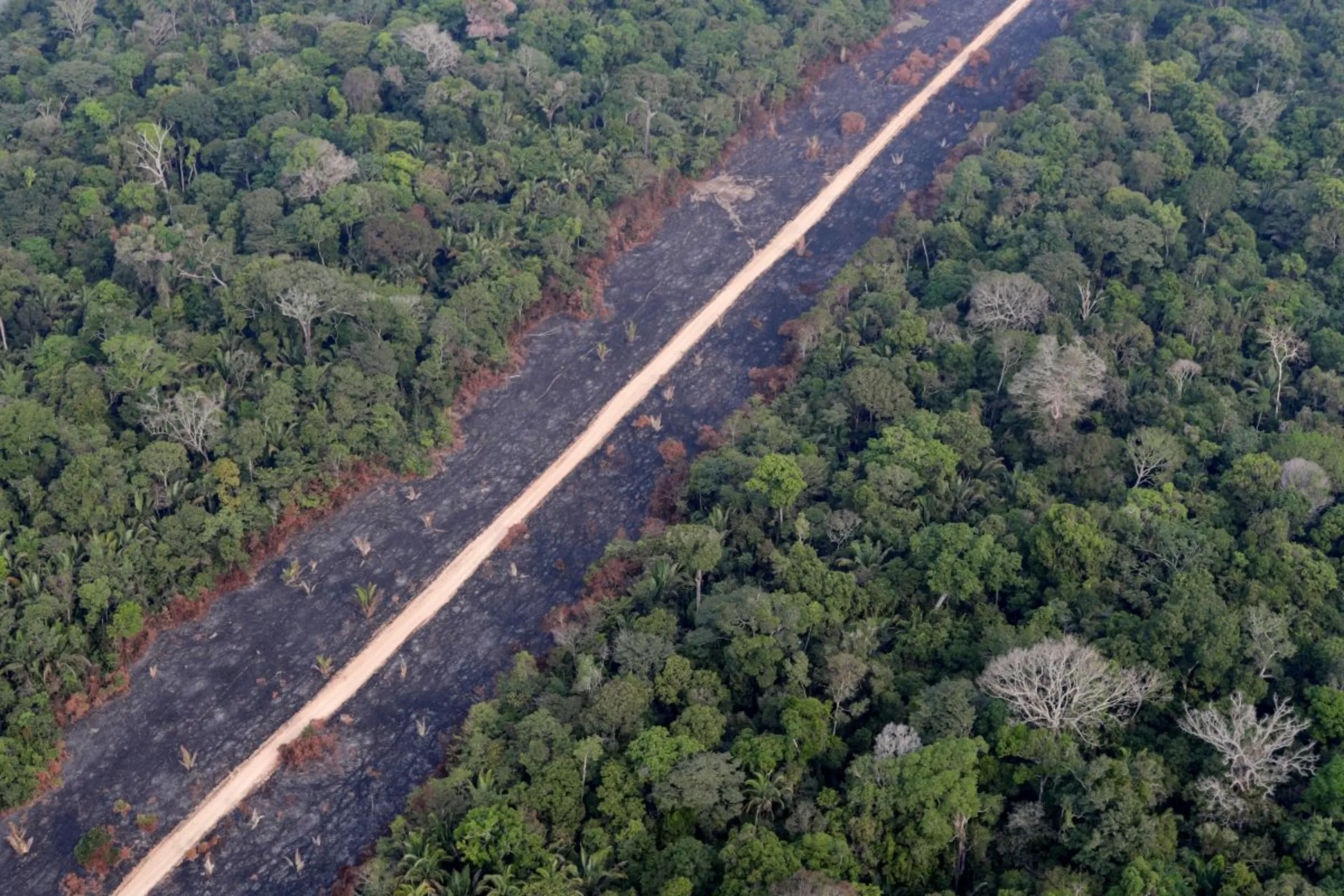 A road runs through a tract of burnt Amazon jungle near Porto Velho, Rondonia State, Brazil, August 14, 2020. Creatures of the Amazon, one of the earth's most biodiverse habitats, face an ever-growing threat as loggers and farms advance further and further into the rainforest. REUTERS/Ueslei Marcelino