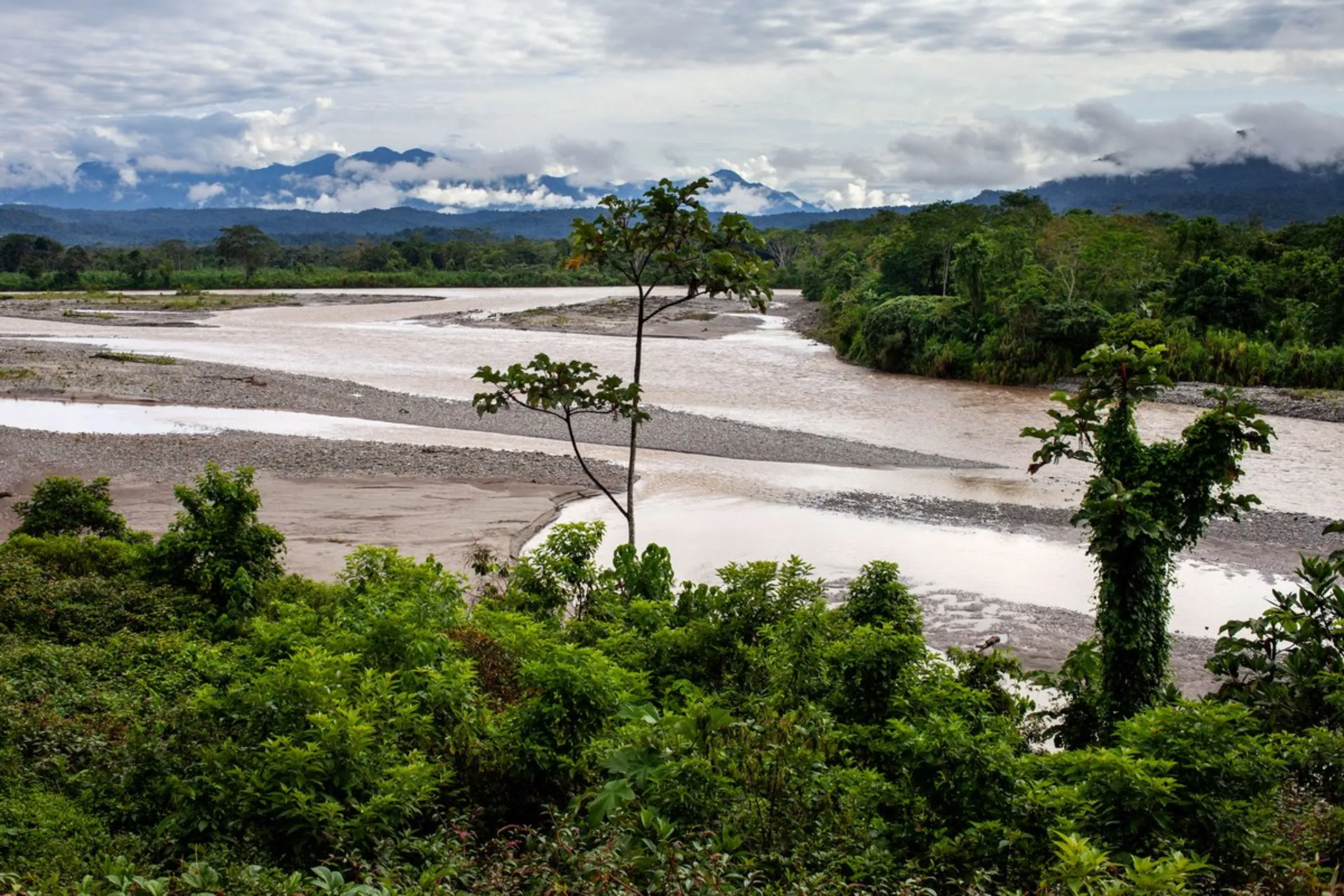 A view of Cofan land in Ecuador’s Cayambe Coca national park, near Sinangoe, Ecuador, on April 22, 2022