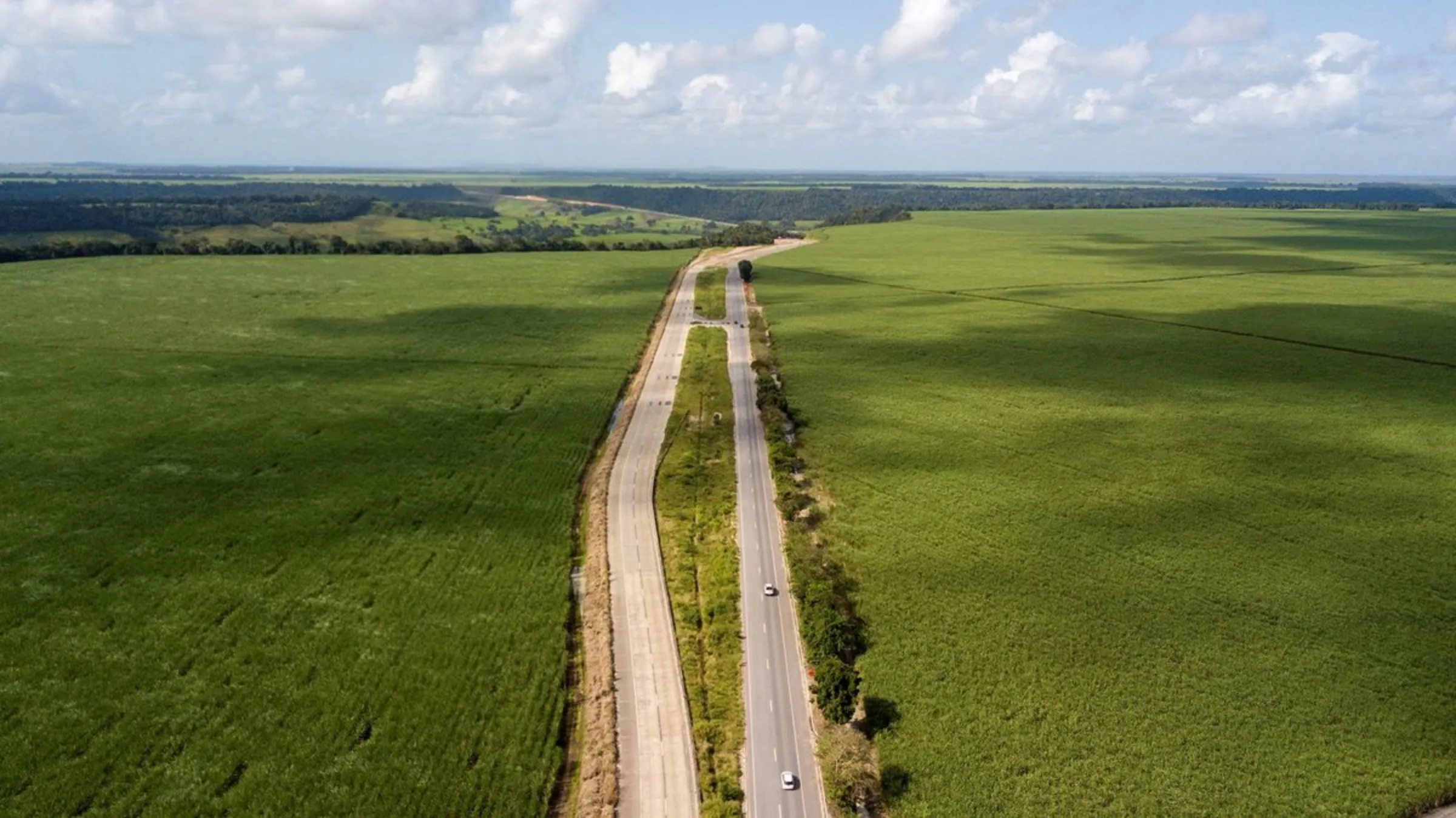 A federal highway in Brazil cuts through two sugarcane plantations in the state of Alagoas, September 26, 2021