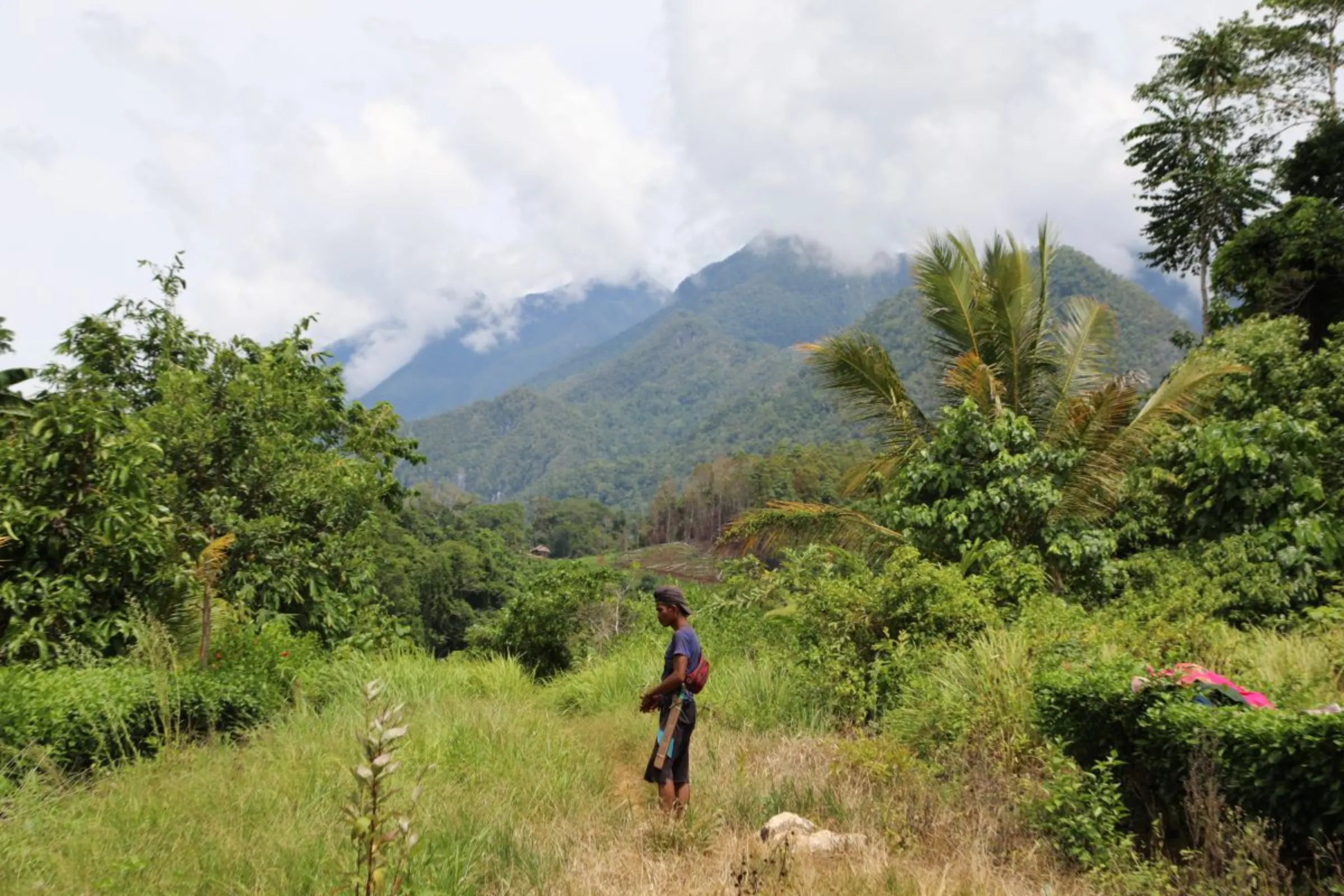 The Wana strolling through a field in one of the central valleys and hills of the Indonesian island of Sulawesi on March 13, 2023. Thomson Reuters Foundation/Peter Yeung