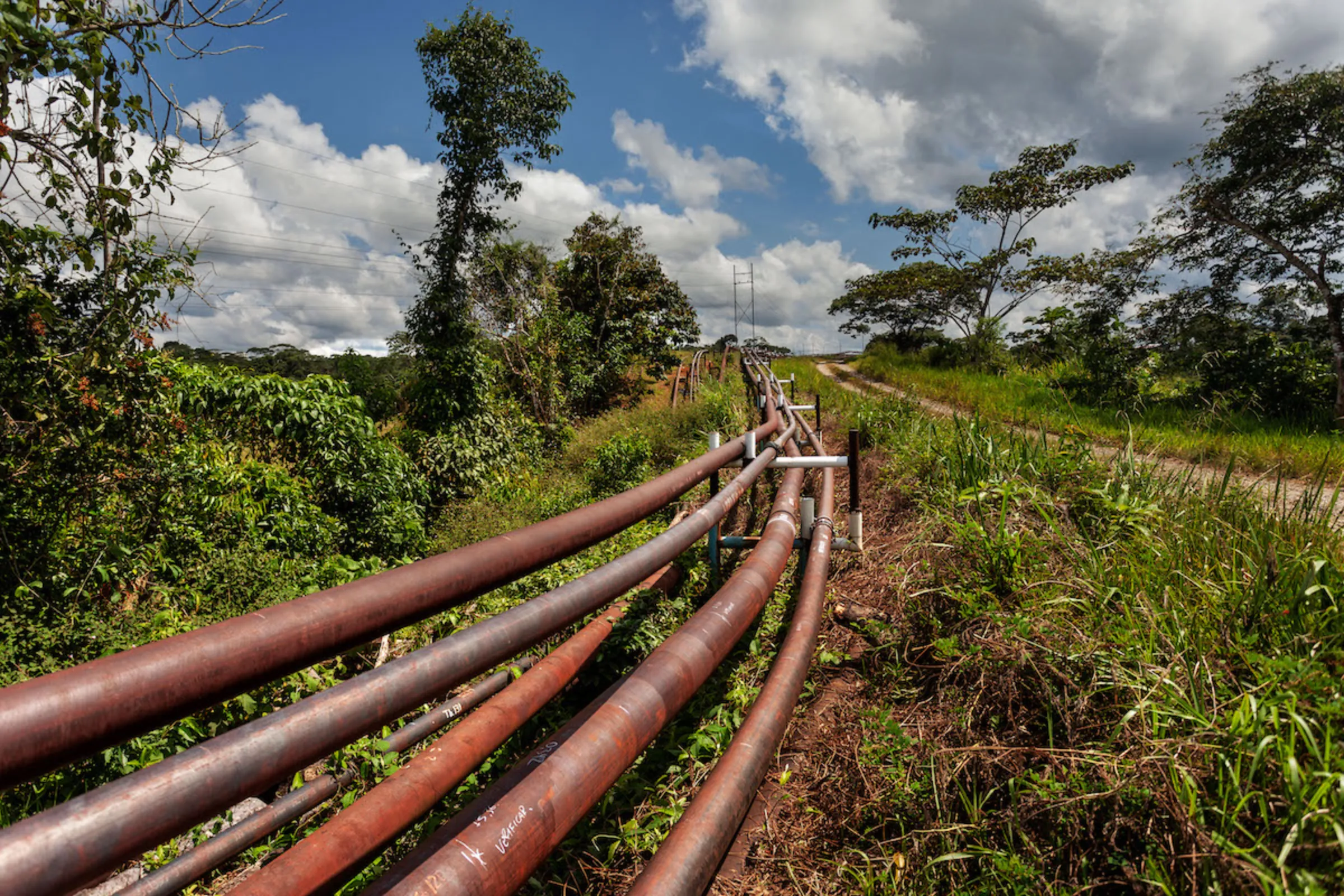 Oil pipelines run alongside roads in Ecuador's Amazon rainforest near Lago Agrio. April 23, 2022. Thomson Reuters Foundation/Fabio Cuttica
