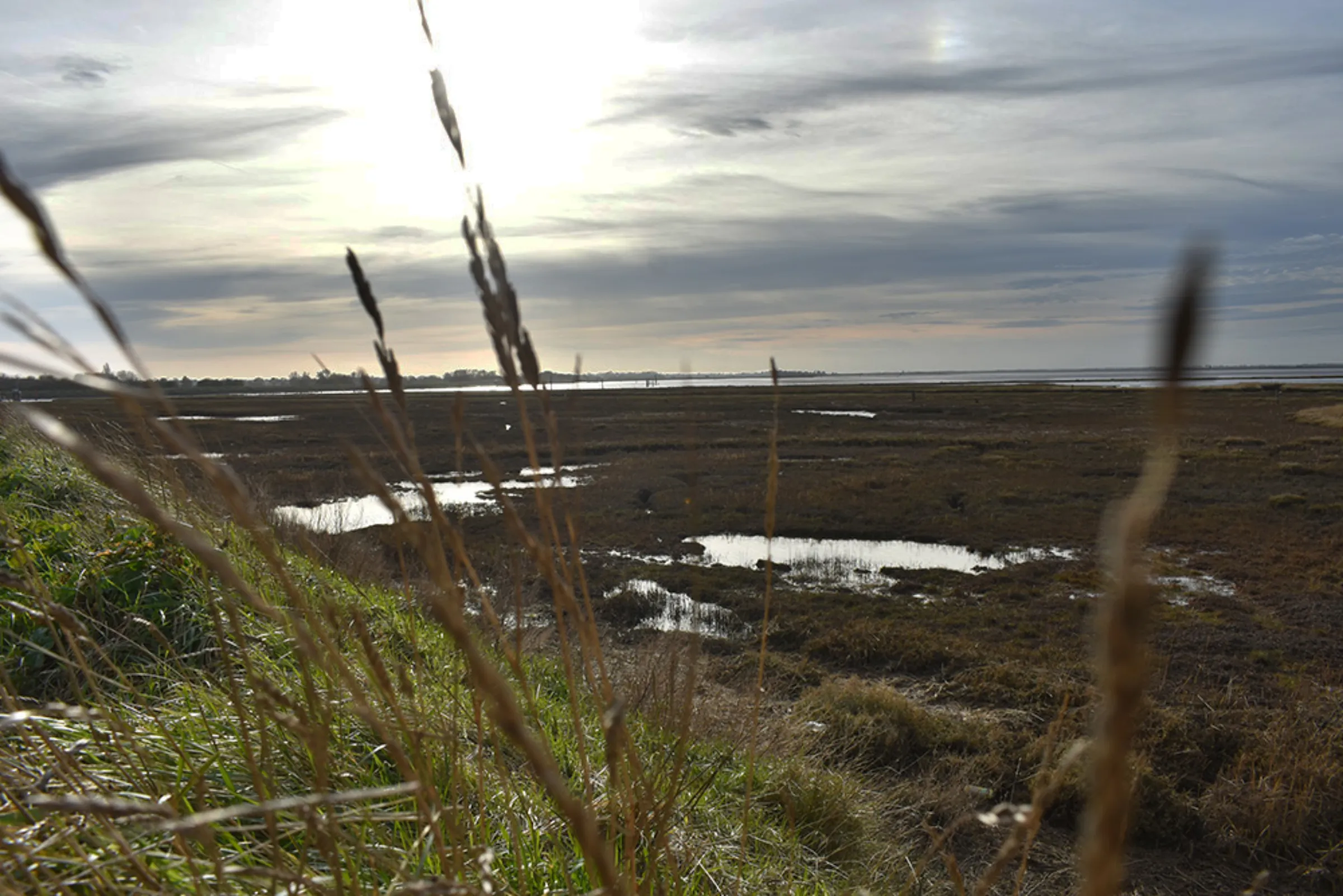 Breydon Water, near the mouth of the River Yare where the Broads rivers drain into the North Sea, is a protected biodiversity site near Great Yarmouth, east England, February 10, 2023. Thomson Reuters Foundation/Rachel Parsons