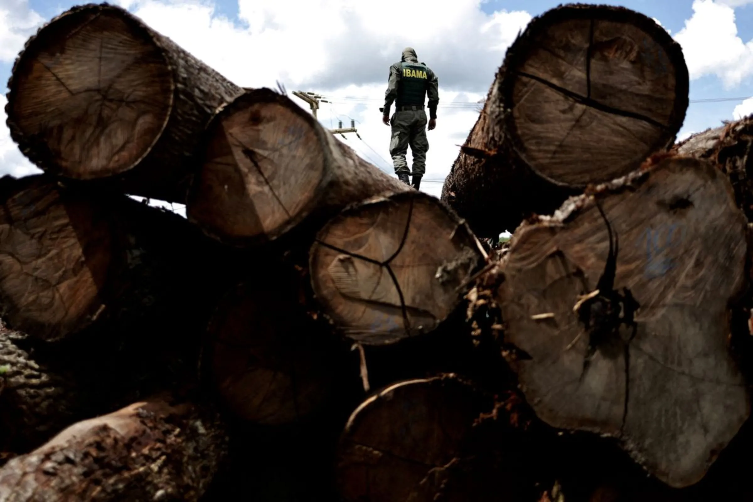 Deforestation in Brazil's  falls in first month under Lula