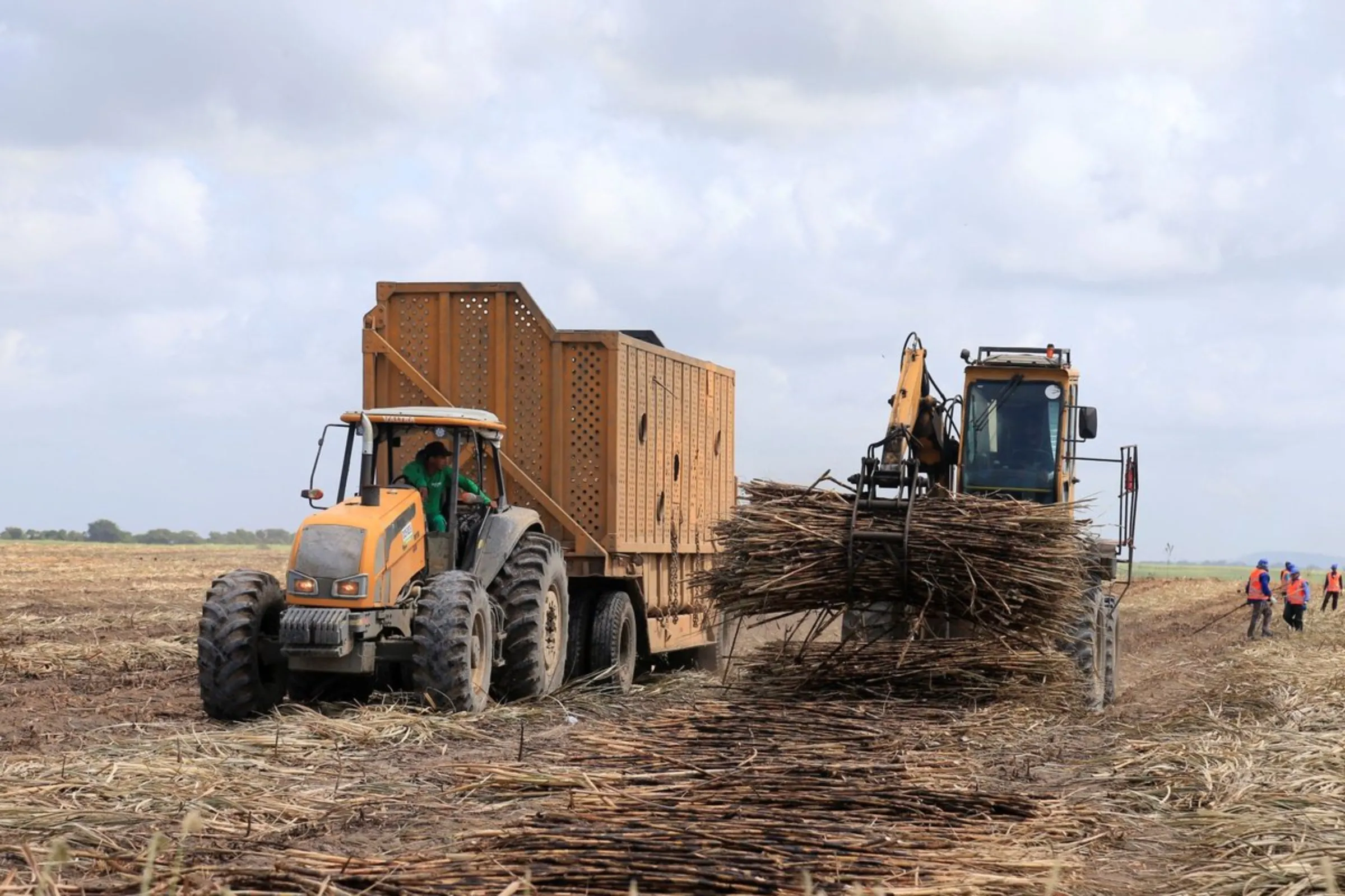 Machinery collects sugarcane harvested by workers in a plantation near Maceio, Brazil, on September 27, 2021