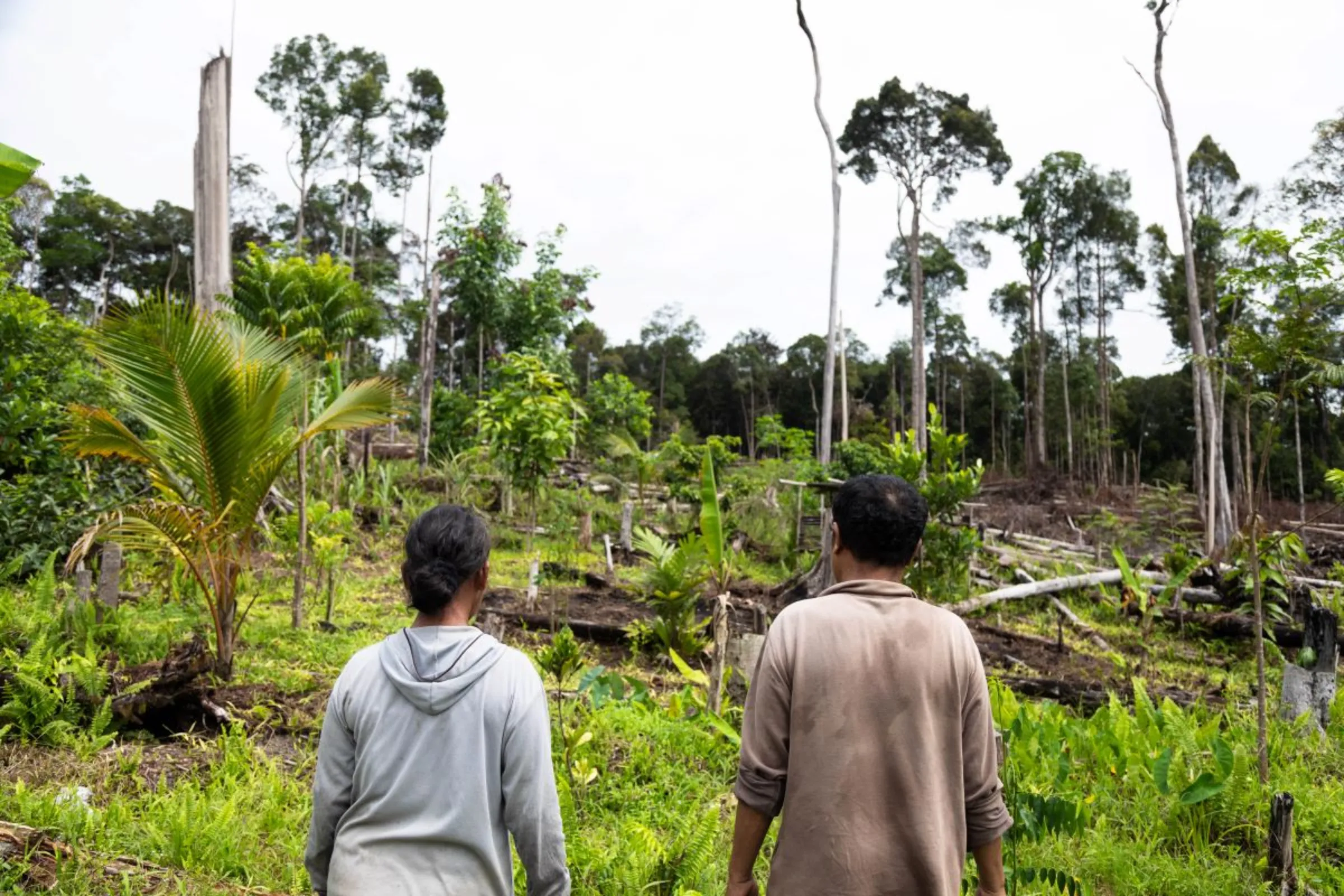Indah Lestari and her husband pose for a portrait at their land in Central Kalimantan, Indonesia on June 20, 2023. They lost half due to the food security program and hope the government will return it. Thomson Reuters Foundation/Irene Barlian