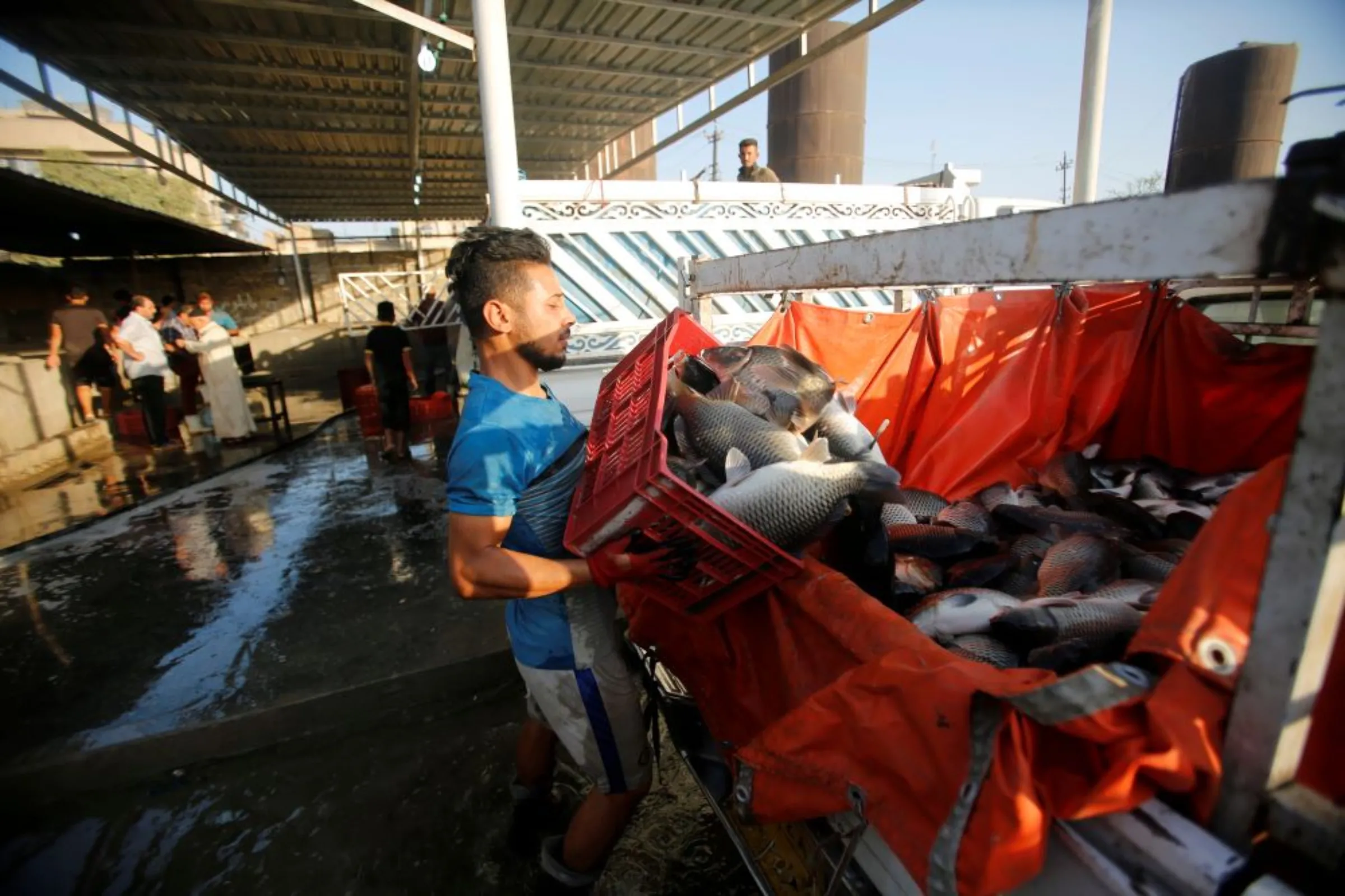 An Iraqi fish vendor carries a crate of fish to be transported to the market in Baghdad, Iraq August 31, 2017