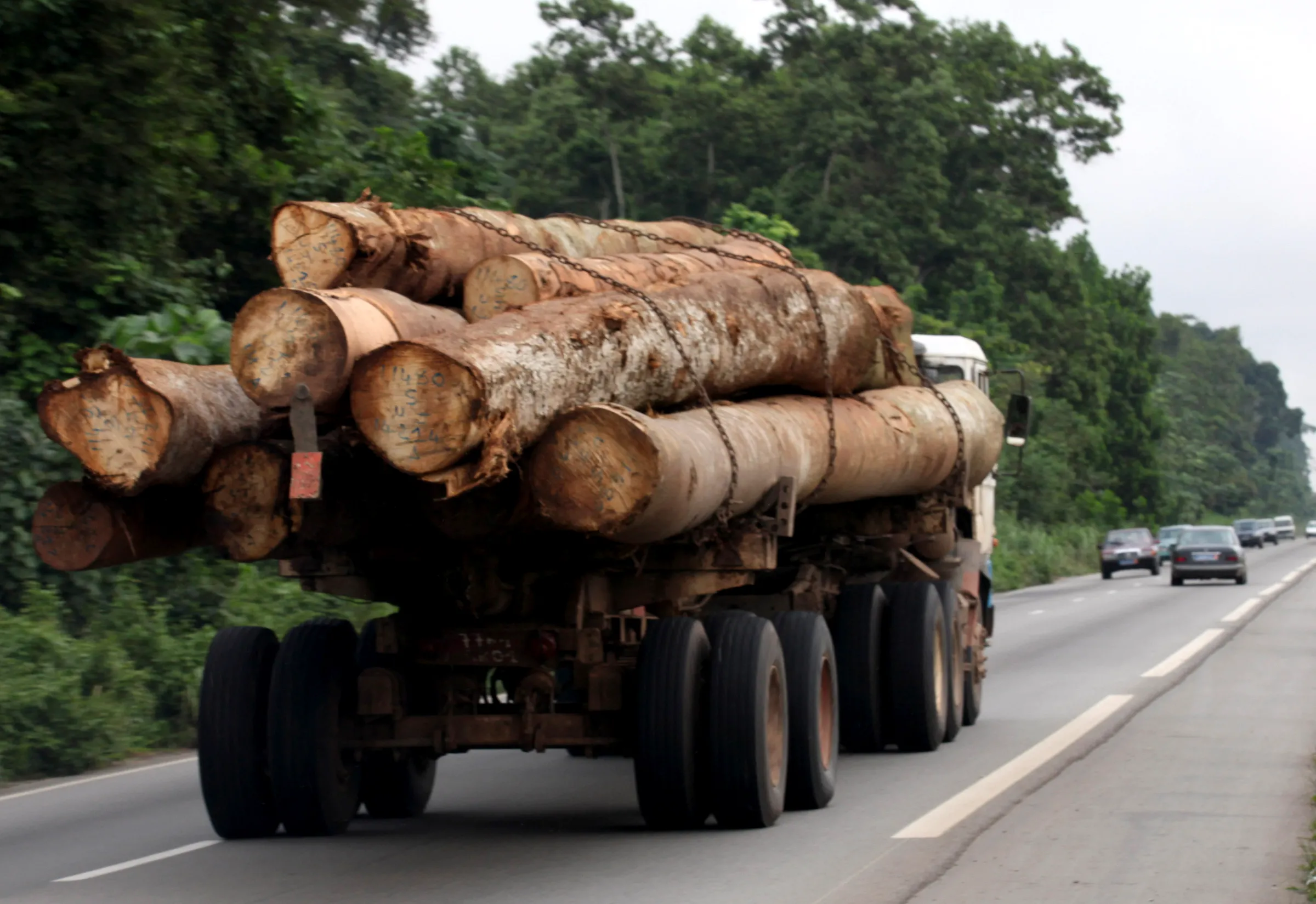 A truck transports logs near Abidjan July 15, 2010. REUTERS/Thierry Gouegnon