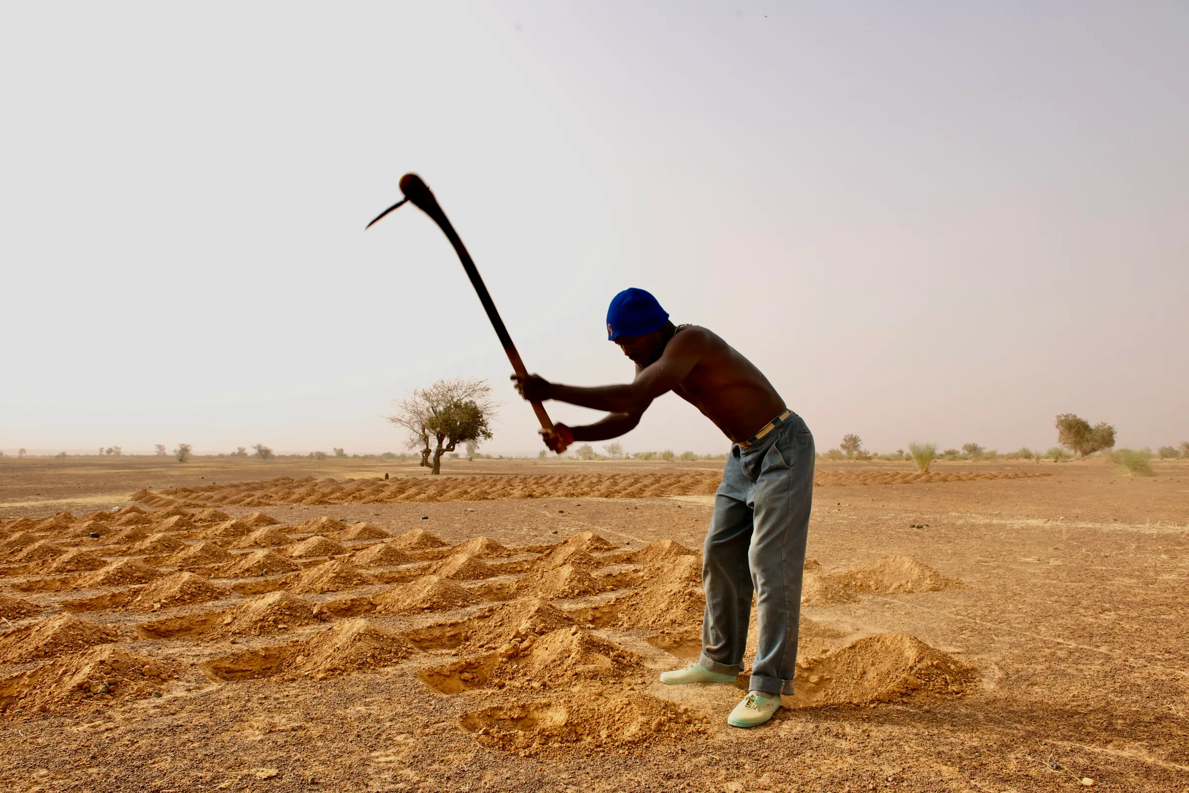 Farmer in Mali using agricultural techniques to make the most of scarce water resources.  2023. UNCCD/Handout via Thomson Reuters Foundation.