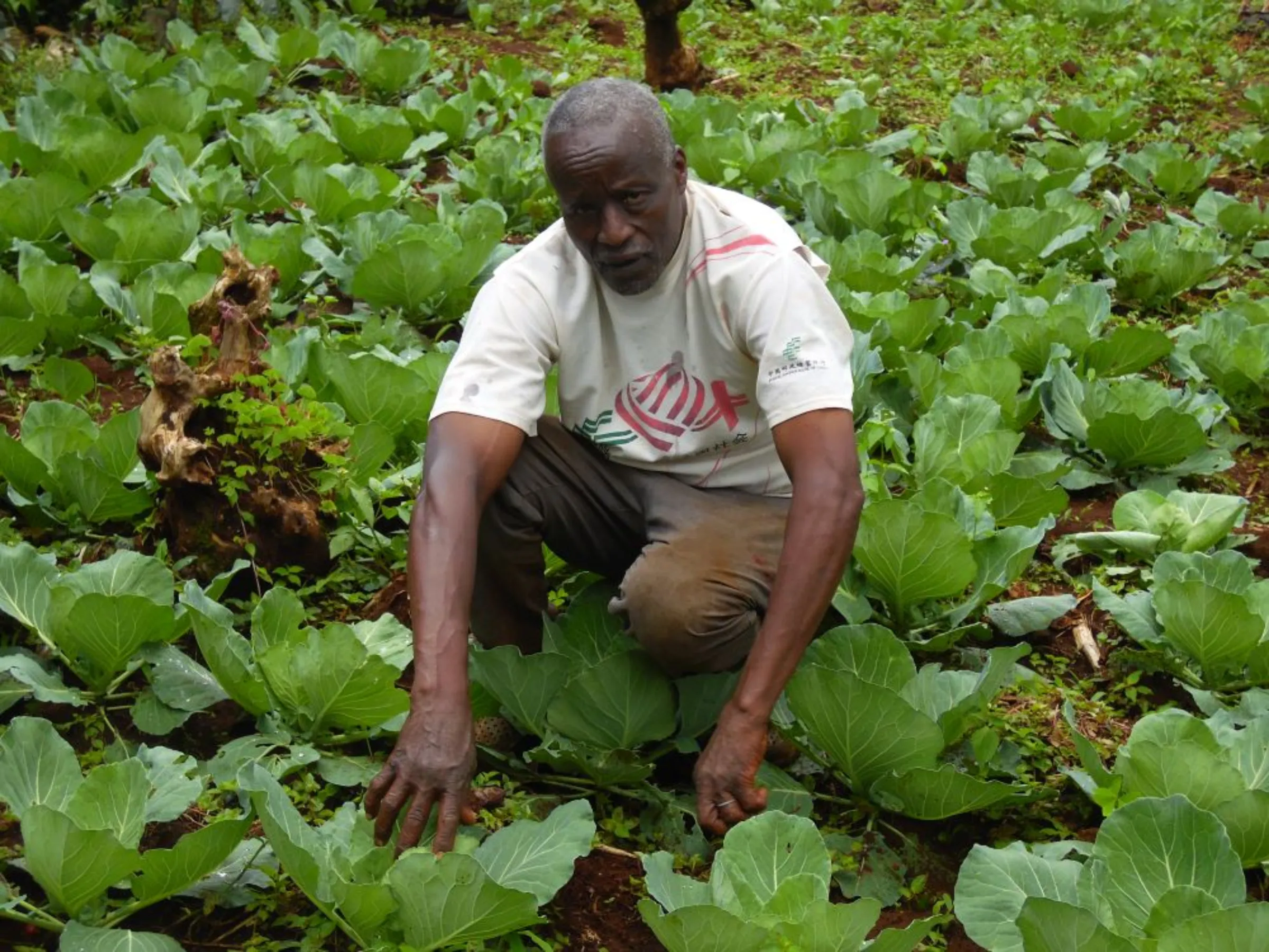 Elijah Murithi poses for a photo next to his vegetable crops in Kibingo, central Kenya, 7 December 2022