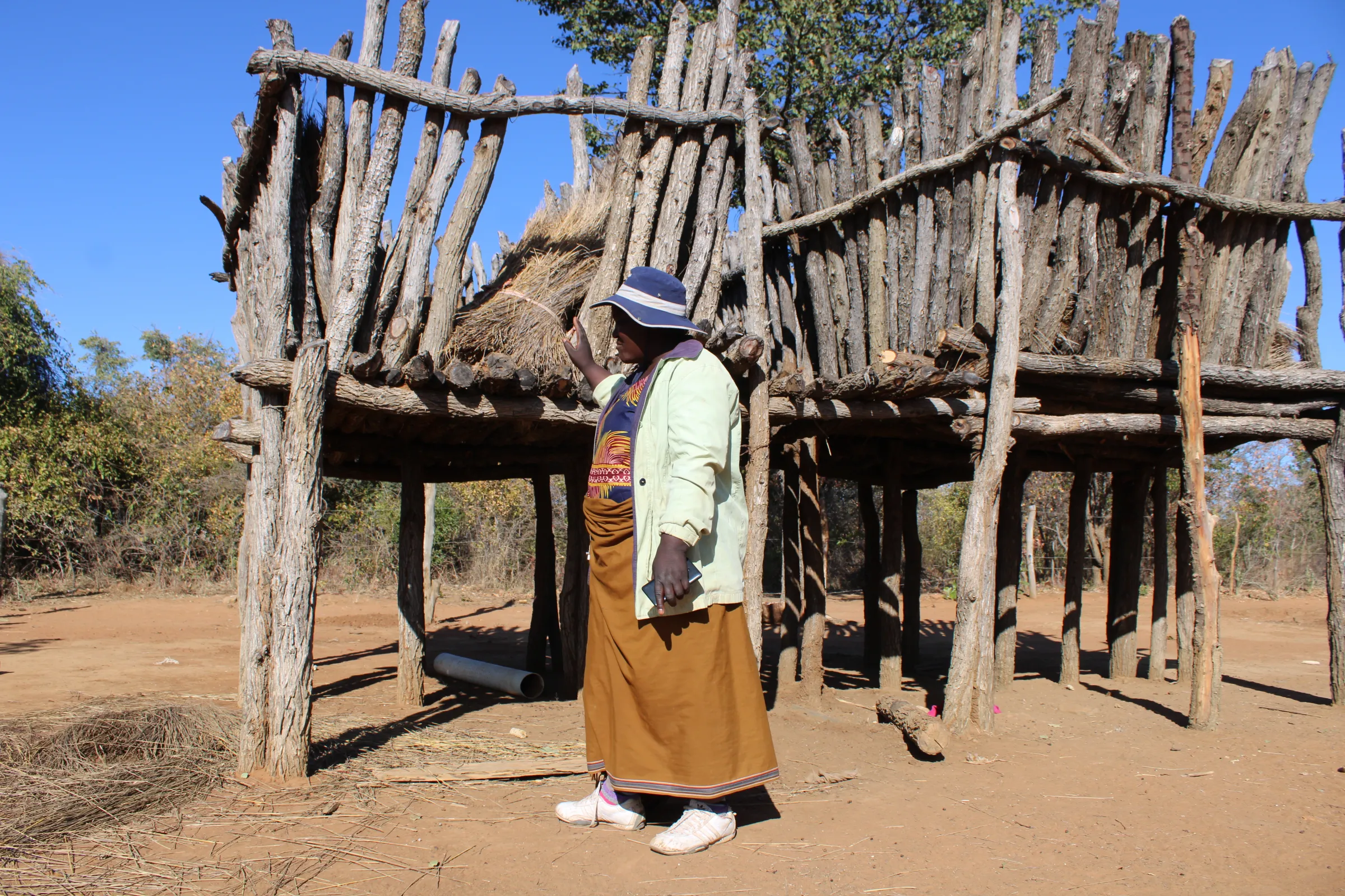 Farmer Lindiwe Ncube shows the few cobs of maize she harvested following a drought in Bubi, Zimbabwe