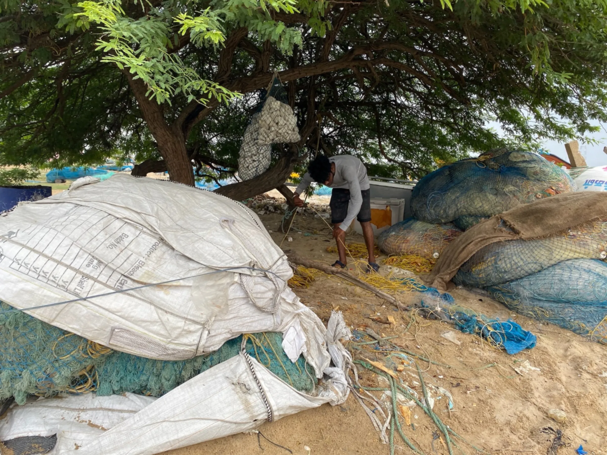 A fisherman cleans his nets near the Pulicat lake in Gunankuppam, near Chennai, India. July 14, 2023