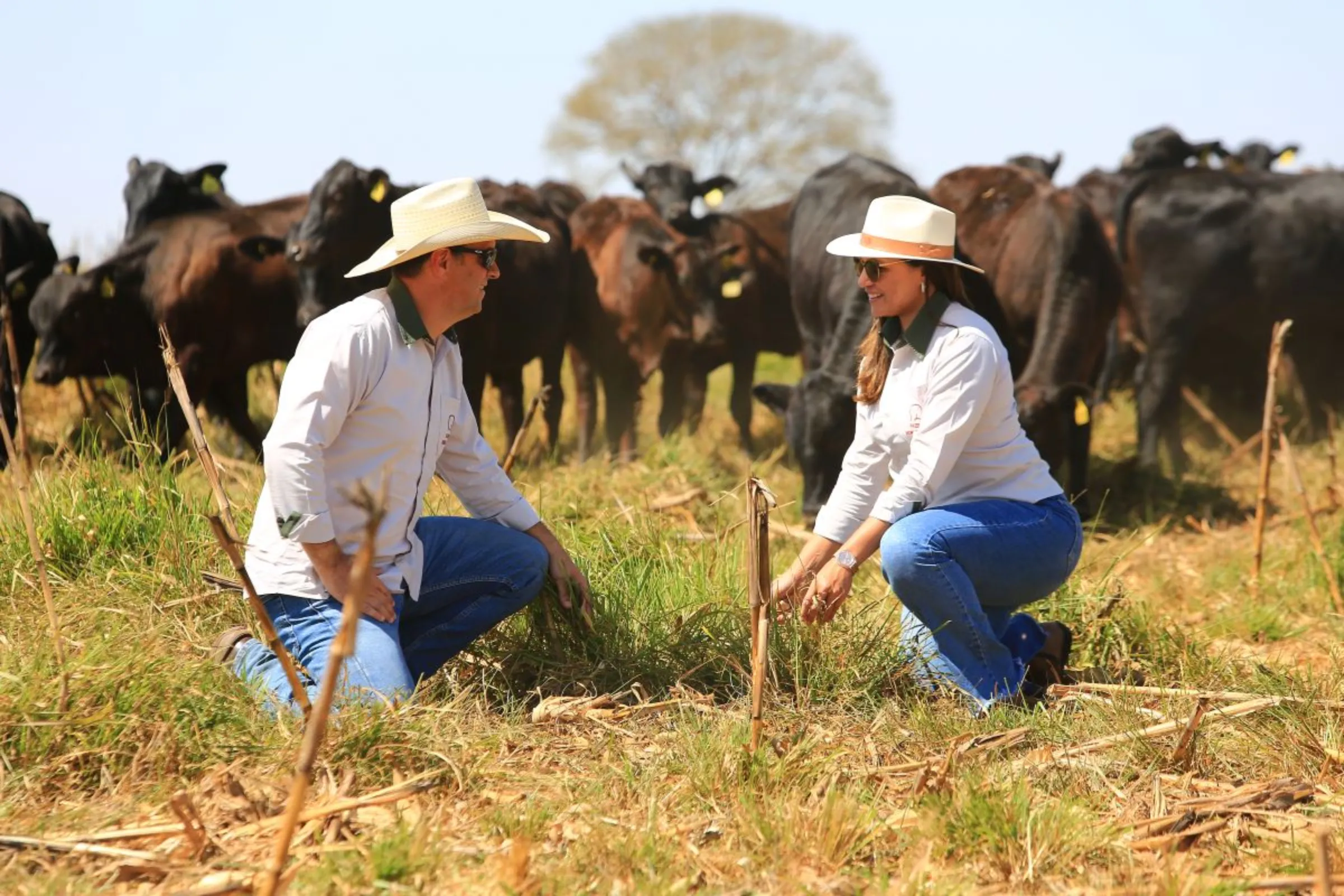 Ricardo Santinoni and his partner Fernanda Ferreira inspect the soil at Fazenda Morro do Peão, in Pires do Rio, Brazil, August 8, 2023. Thomson Reuters Foundation/Wildes Barbosa