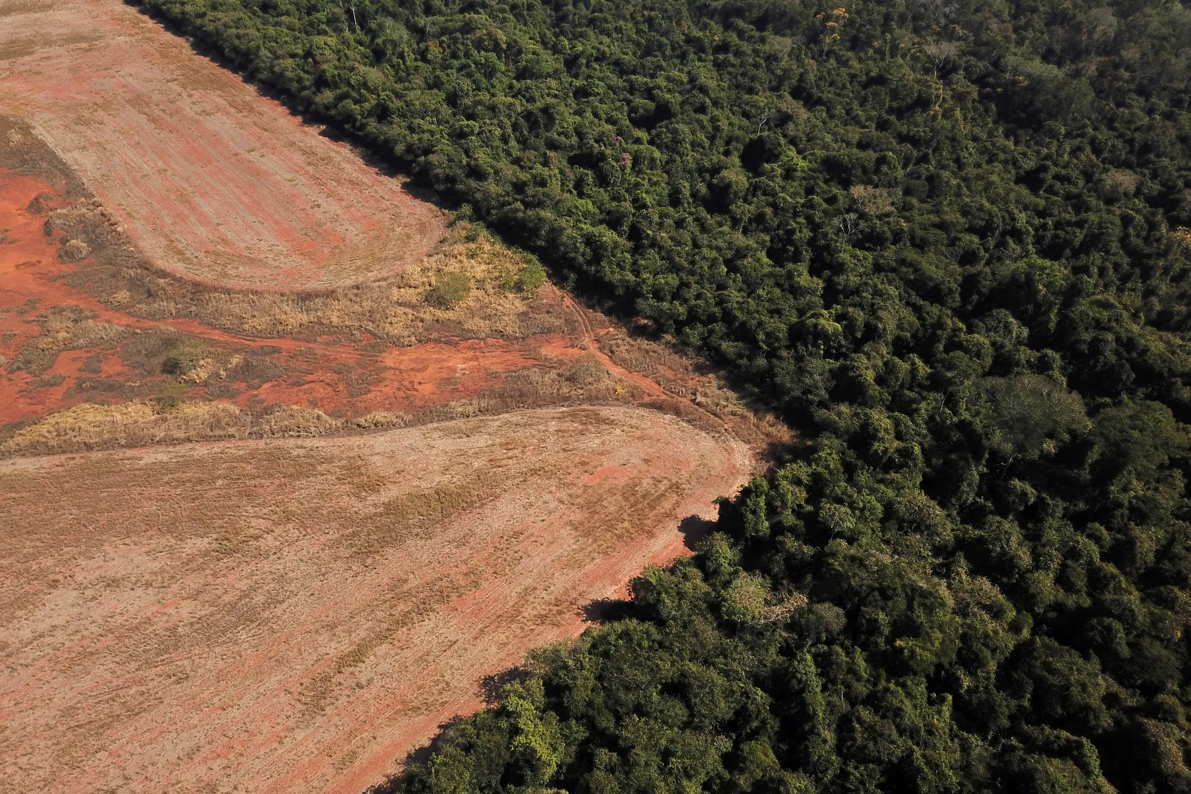 An aerial view shows deforestation near a forest on the border between Amazonia and Cerrado in Nova Xavantina, Mato Grosso state, Brazil July 28, 2021
