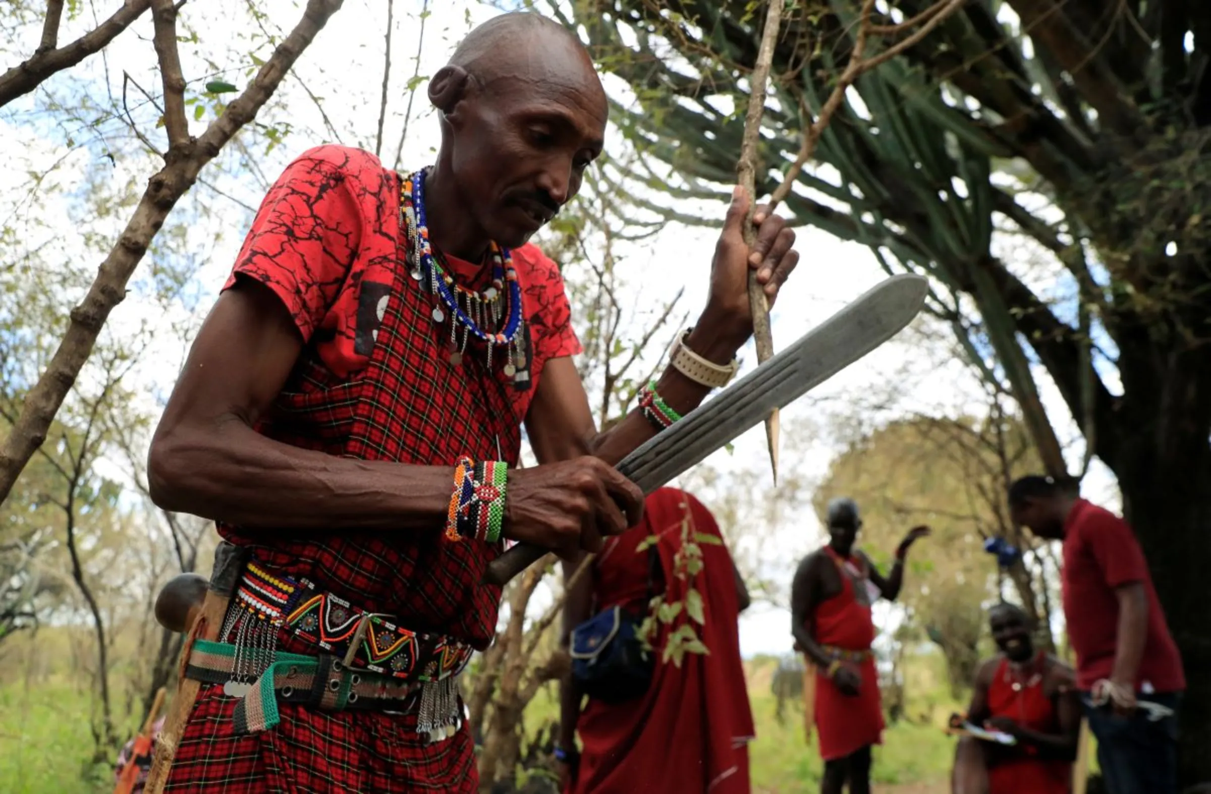A member of the indigenous Maasai community prepares sticks to roast meat at the inaugural Maasai Cultural Festival that aims to promote peace, tourism, and cultural exchange in Sekenani village, the heart of world-famous Maasai Mara National Reserve, in Narok county, Kenya June 9, 2023