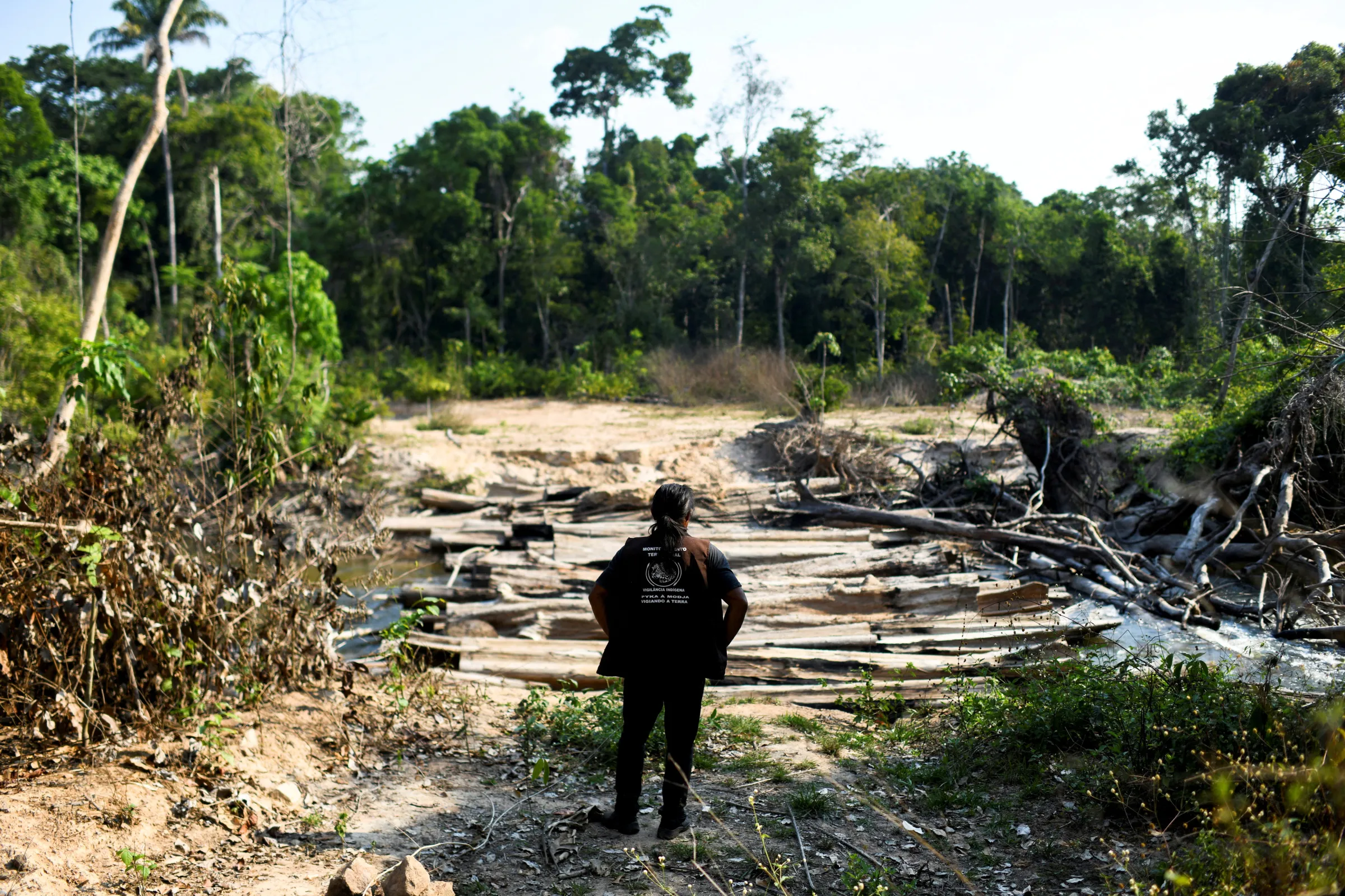 Death and deforestation: Cocaine trade adds to 's woes