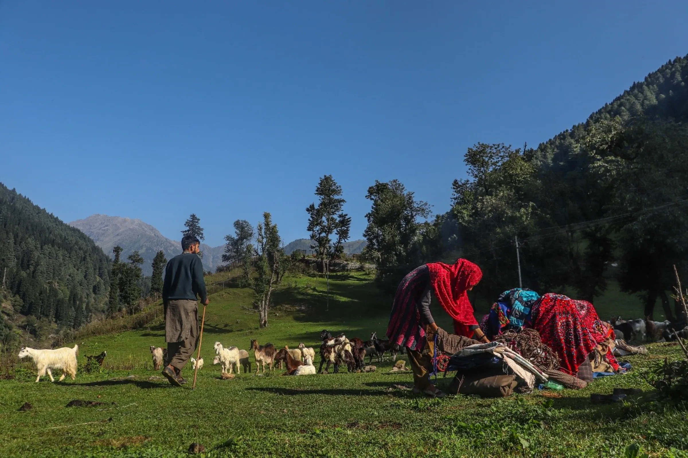 A nomadic family pack up their goods as they start their return journey back home after spending the summer grazing their livestock on the Himalayan hills of Kashmir, India, Sept. 14, 2022