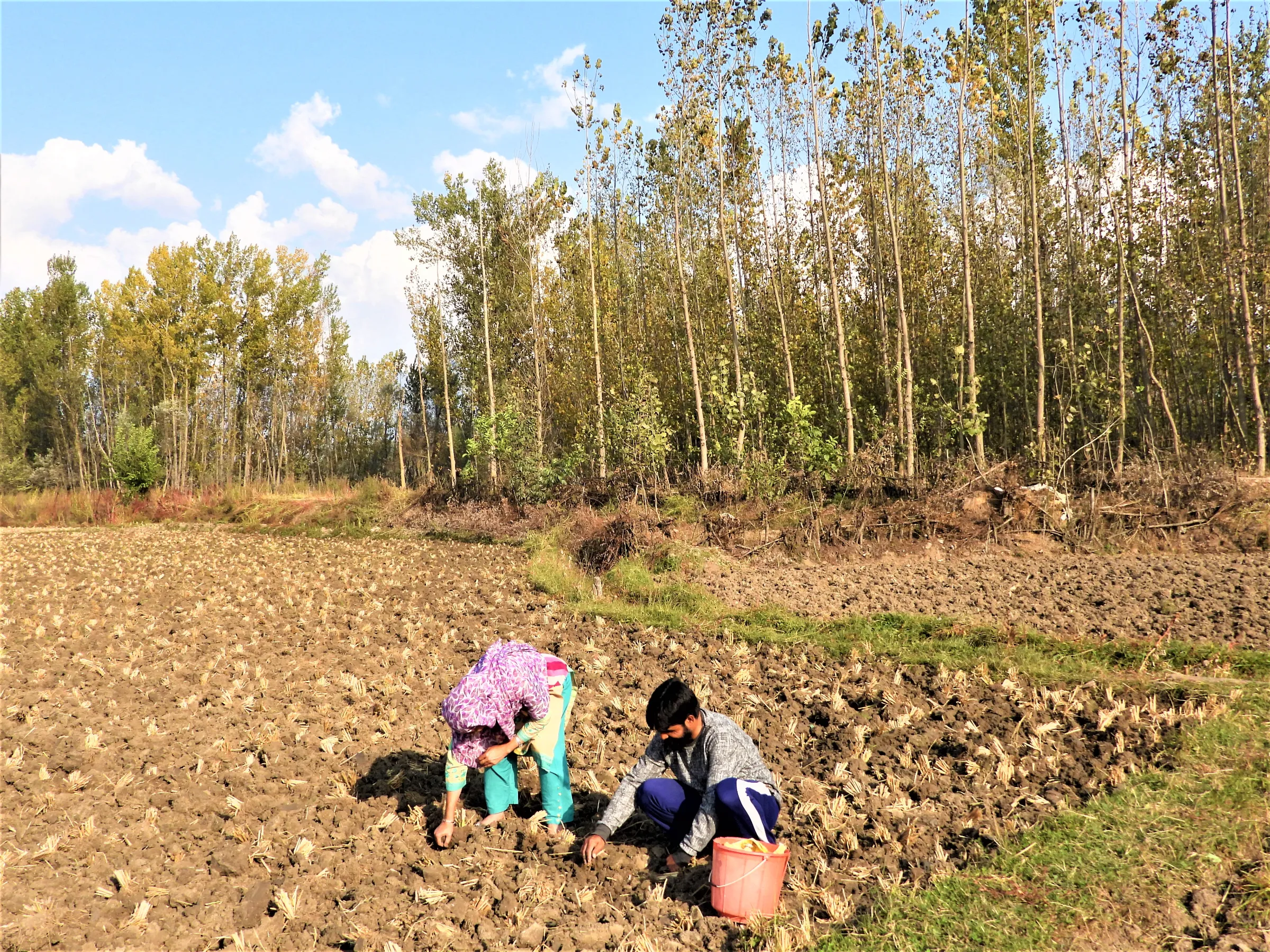 Farmer Zahid Iqbal and his wife work on their farm, where they rely on melting glacial ice and snow for irrigation, in Sail village, southern Kashmir, India, October 13, 2022