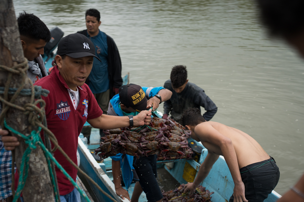 A man holds a net of crabs as people work behind him on a boat
