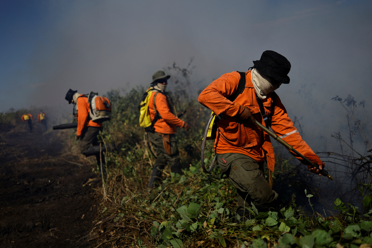 Understanding the Fires in the World's Largest Wetland