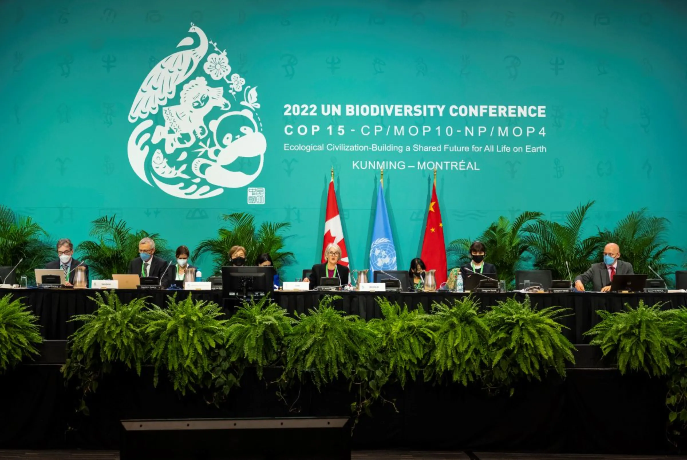 Developing nations halt COP15 talks after biodiversity fund demand