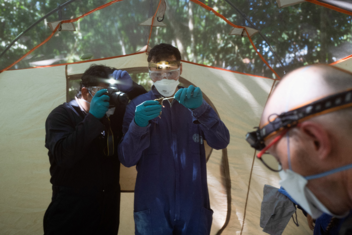 Mercury poisoning in Peru's Amazon threatens health disaster