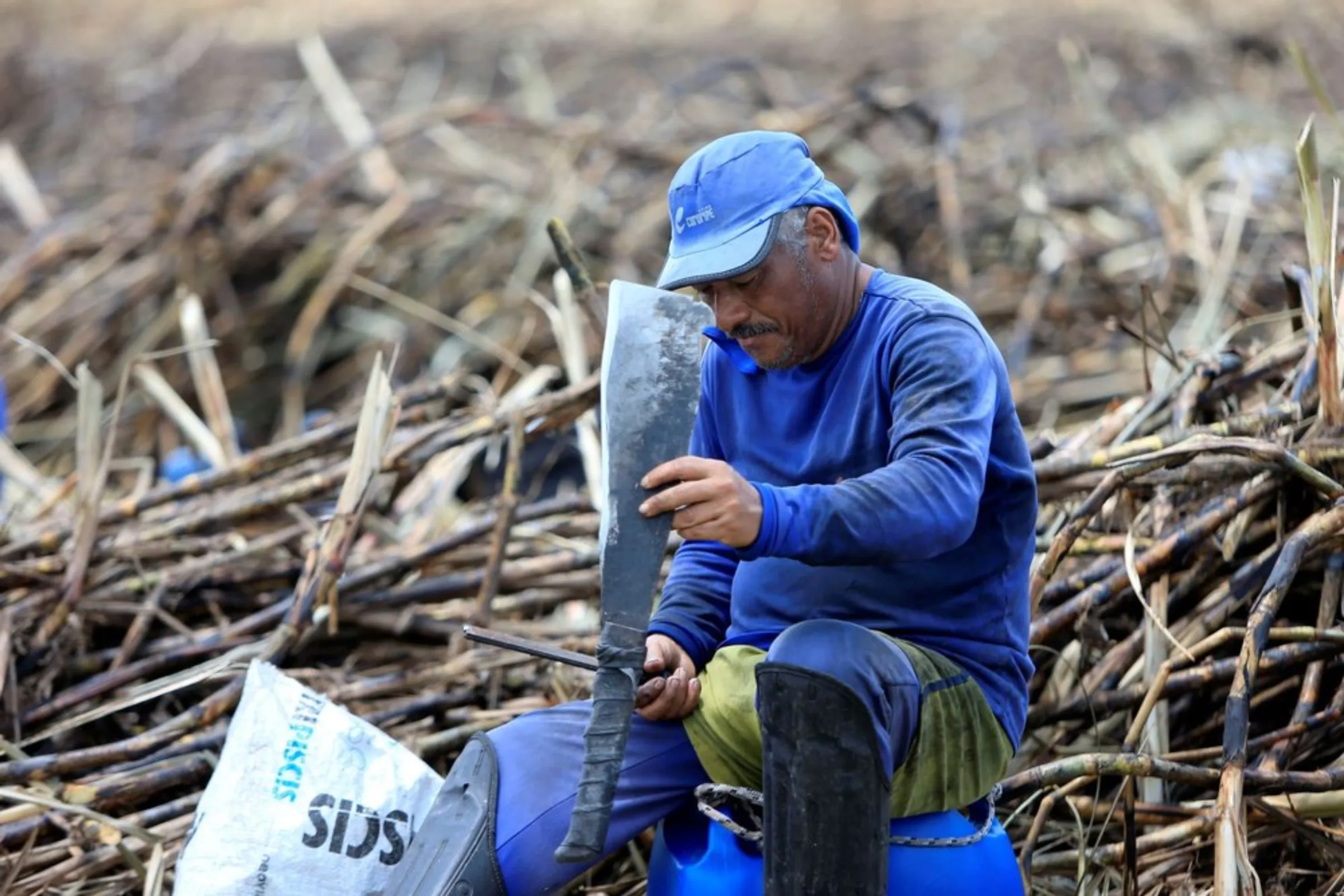 A sugarcane worker sharpens his machete in a plantation near Maceio, Brazil, on September 27, 2021
