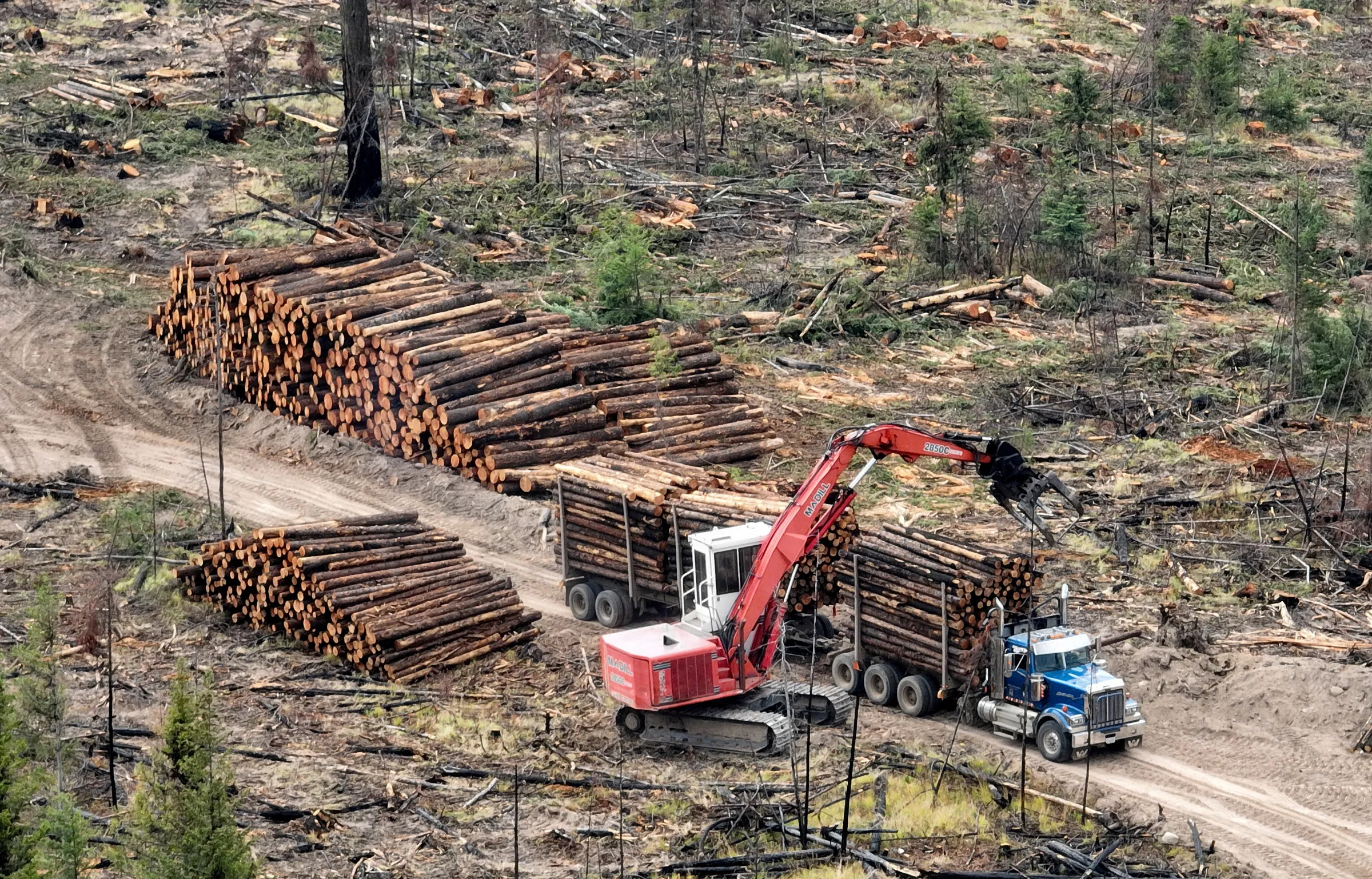 A drone view shows a logging truck loaded in a clearcut forest block east of Young Lake, British Columbia, Canada, September 5, 2023. REUTERS/Chris Helgren