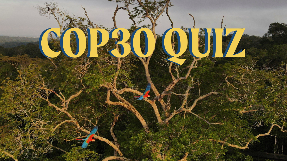 How much do you know about COP30 and climate change?