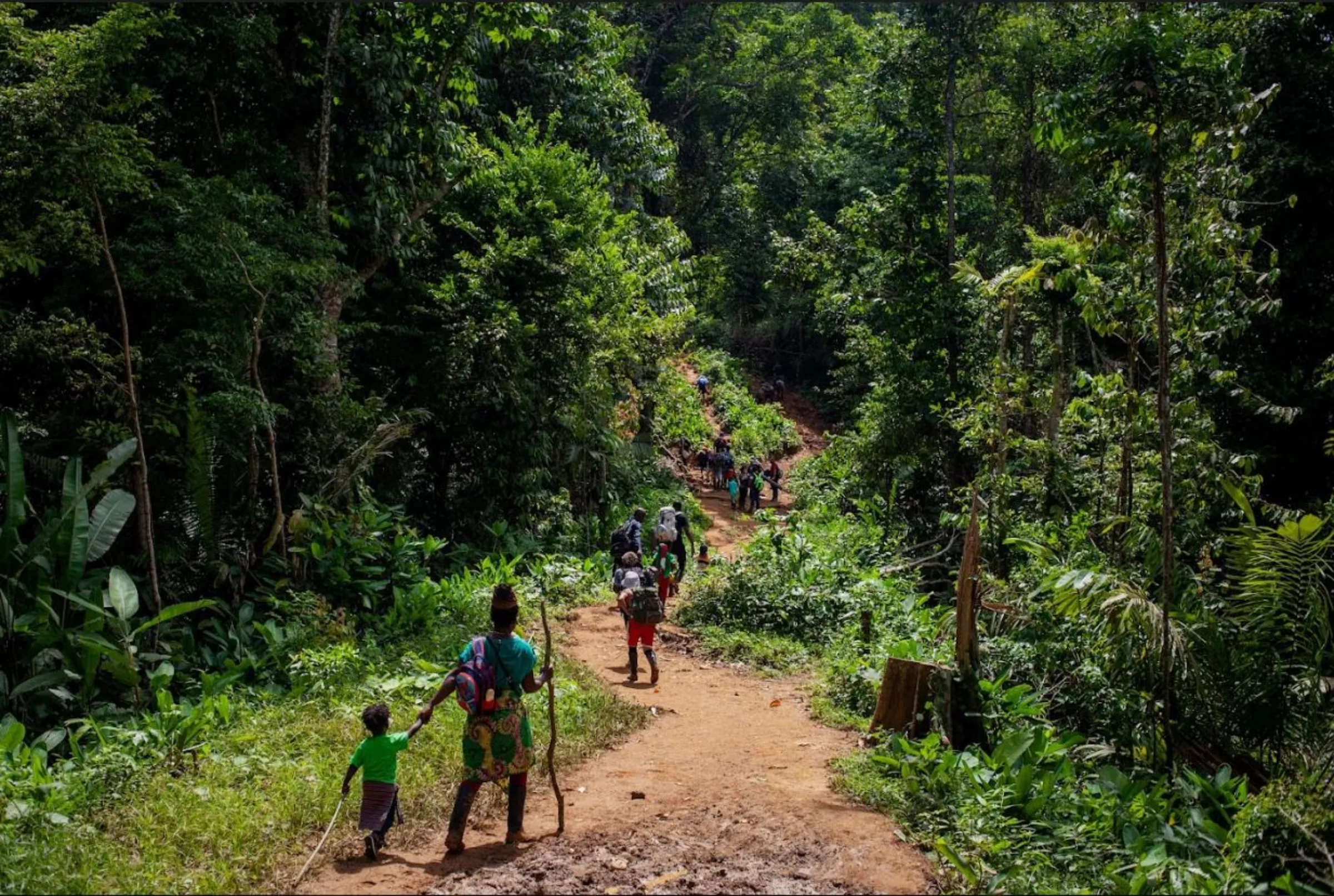 Migrants walk through the Colombian jungle on day one of a five- to seven-day perilous trek in the Darién Gap, Colombia, July 27, 2022. Thomson Reuters Foundation/Fabio Cuttica