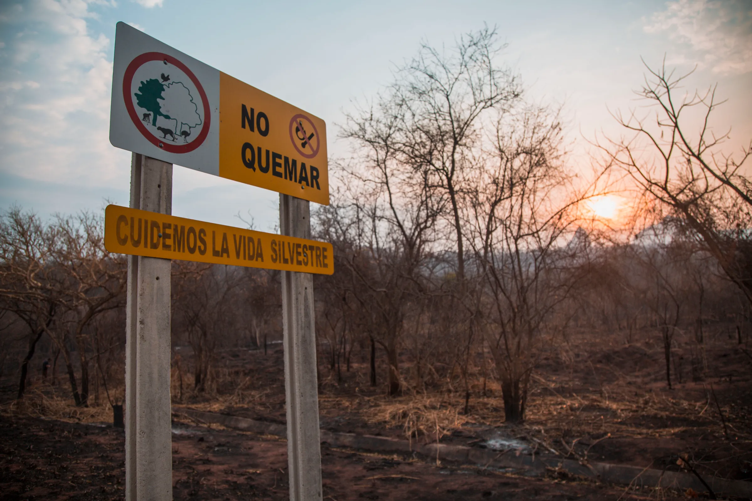 A sign says 'Don't burn' 'Protect wildlife' alongside scorched lands during forest fires in Roboré, Bolivia, August 2024. Maicol Mamani/Handout via Thomson Reuters Foundation