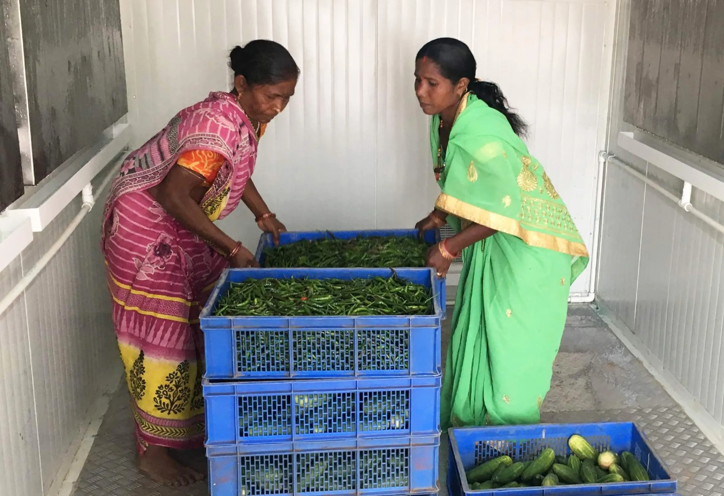 The women farmers arrange their vegetables and greens within a solar powered cold storage unit in Telengana, India, November 15, 2022
