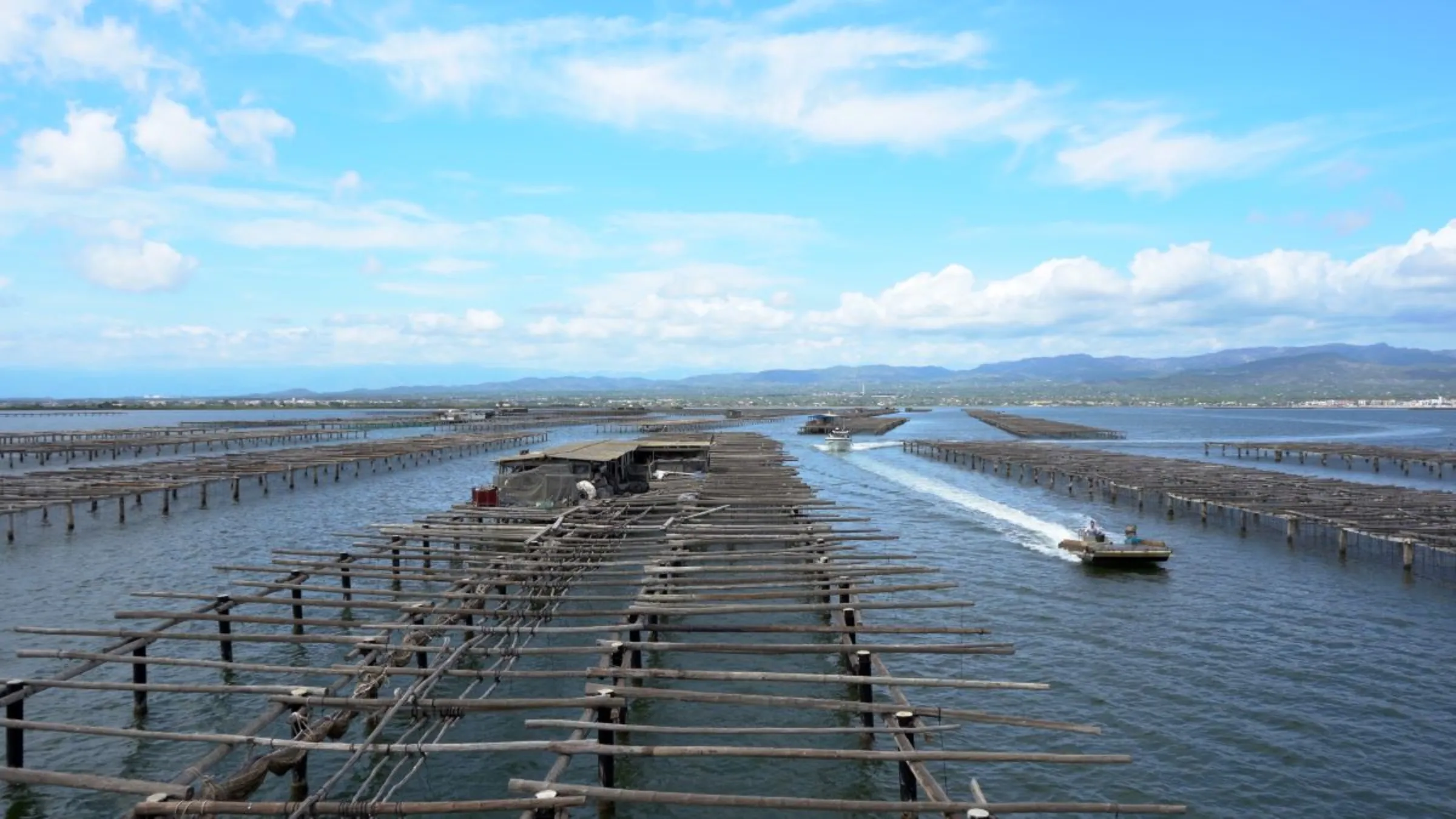 Xavier Cabrera's farm, where he cultivates mussels and oysters, in the Ebro Delta region of Catalunya, Spain, September 1, 2023. Cabrera's father built the farm in 1982 and he now runs it with his brother Rubén. Thomson Reuters Foundation/Naomi Mihara