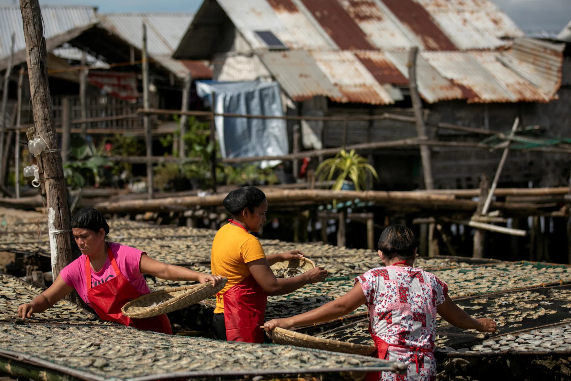Women dry fish at Tagburos village, in Puerto Princesa, Palawan, Philippines, November 22, 2022. REUTERS/Eloisa Lopez