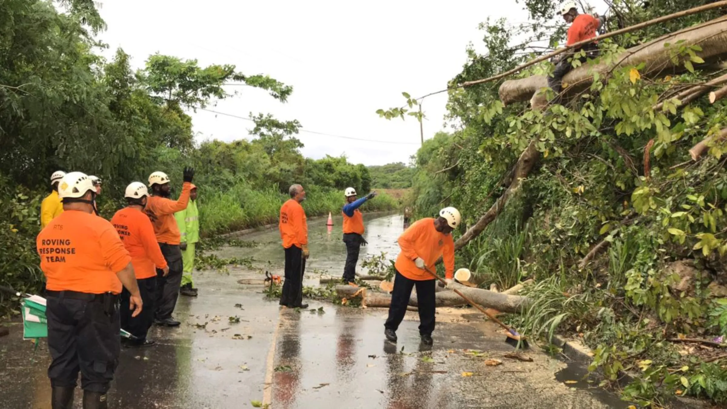Volunteer members of the Roving Response Team remove a tree blocking a road after Tropical Storm Dorian passed overnight in Brighton St. George, Barbados August 27, 2019. REUTERS/Nigel R Browne