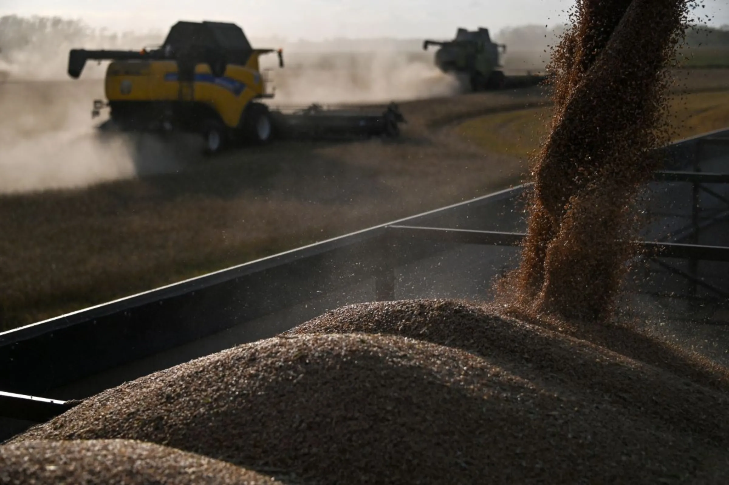 A combine loads wheat into a truck during harvest in a field of a local agricultural enterprise in the Cherlaksky district of the Omsk region, Russia, September 8, 2023. REUTERS/Alexey Malgavko