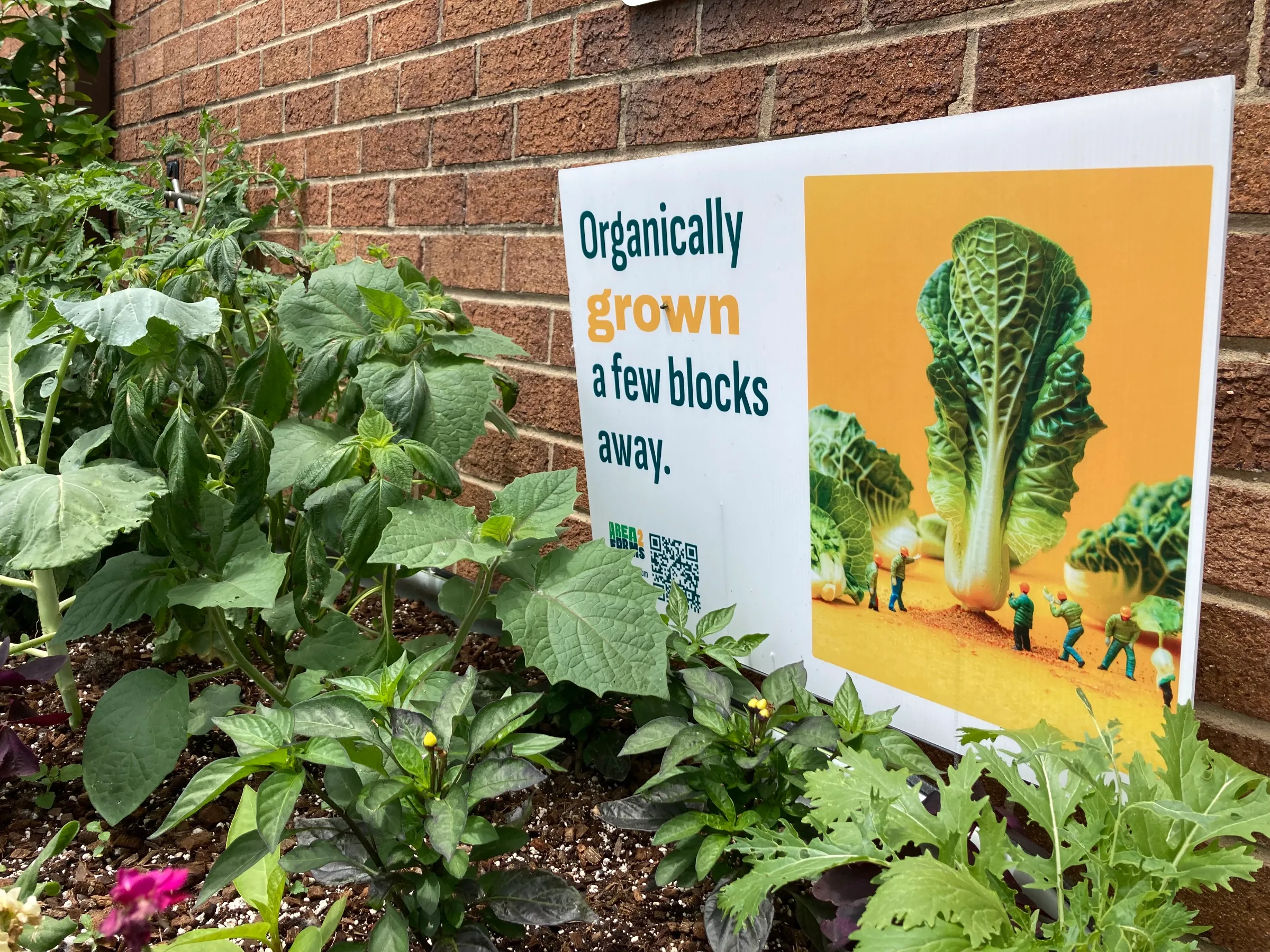 Outside an urban vertical farm operation in Arlington, Virginia, in May 2025. Thomson Reuters Foundation/Carey L. Biron